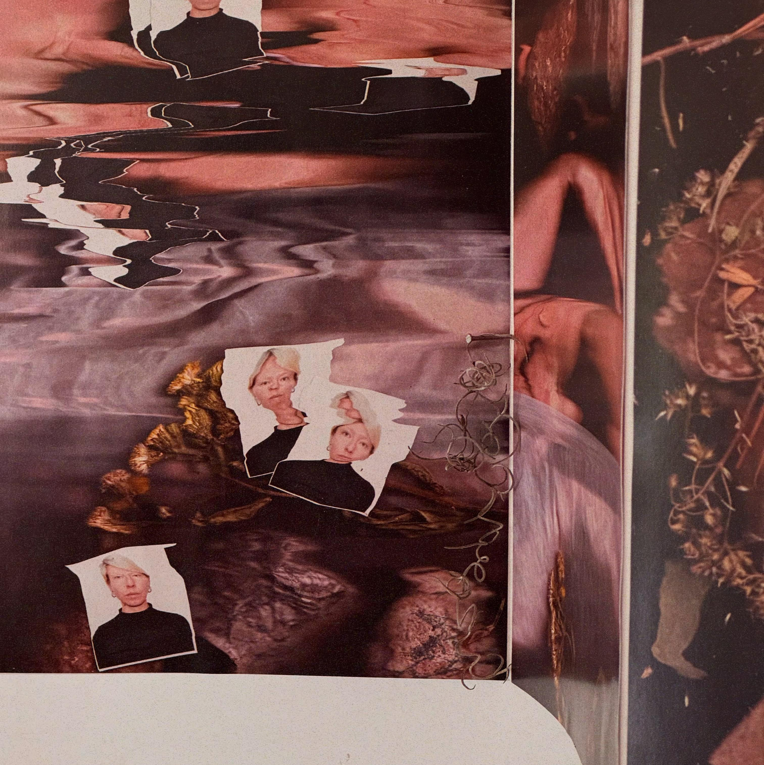 SEDIMENTS AND FOSSILS. Xexexena.ru