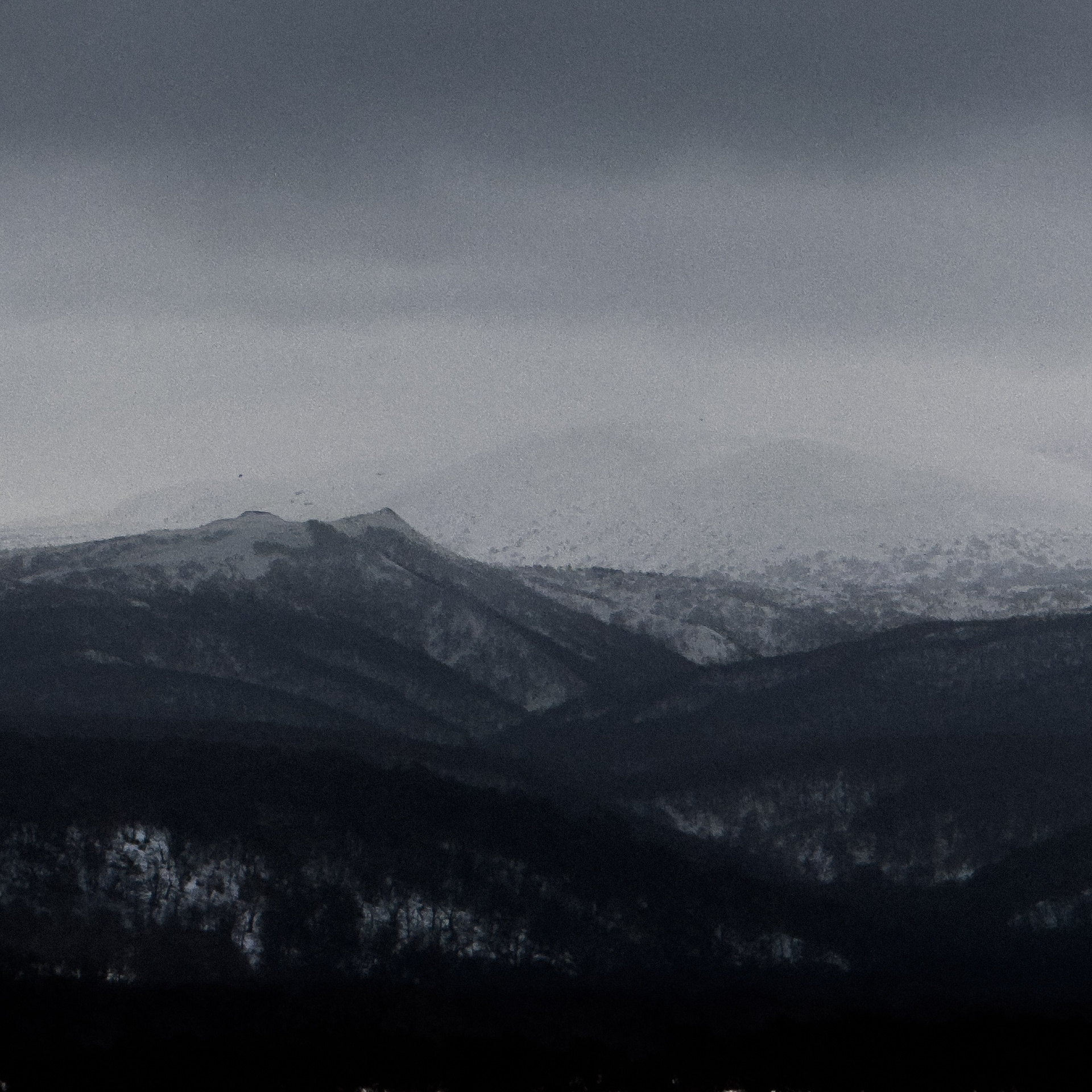 Услуги. Фотограф Итуруп | Бурова Екатерина