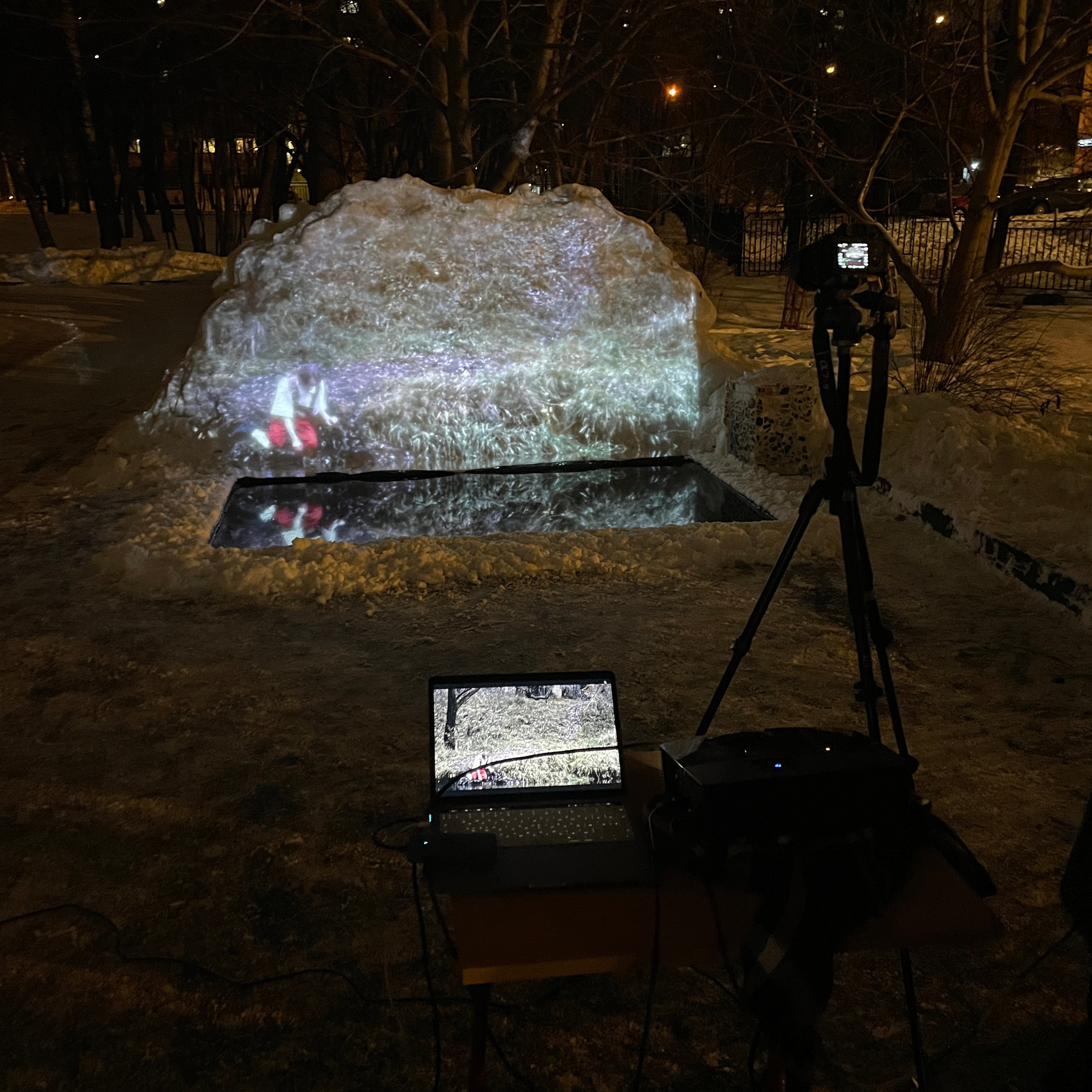 Нарцисс. Елизавета БаковА