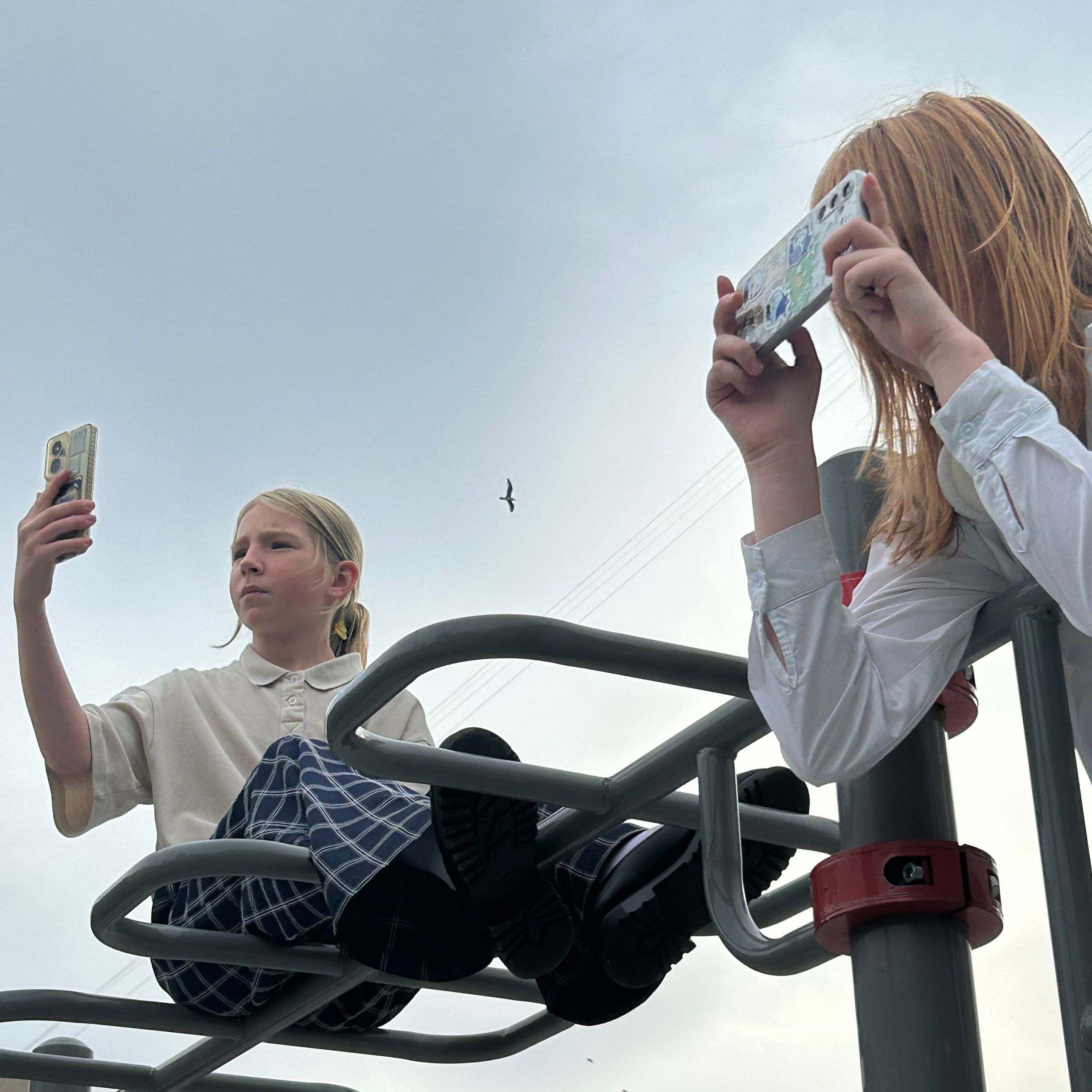 О нас. Фотокружок «Видоискатель» ГБОУ СОШ № 291