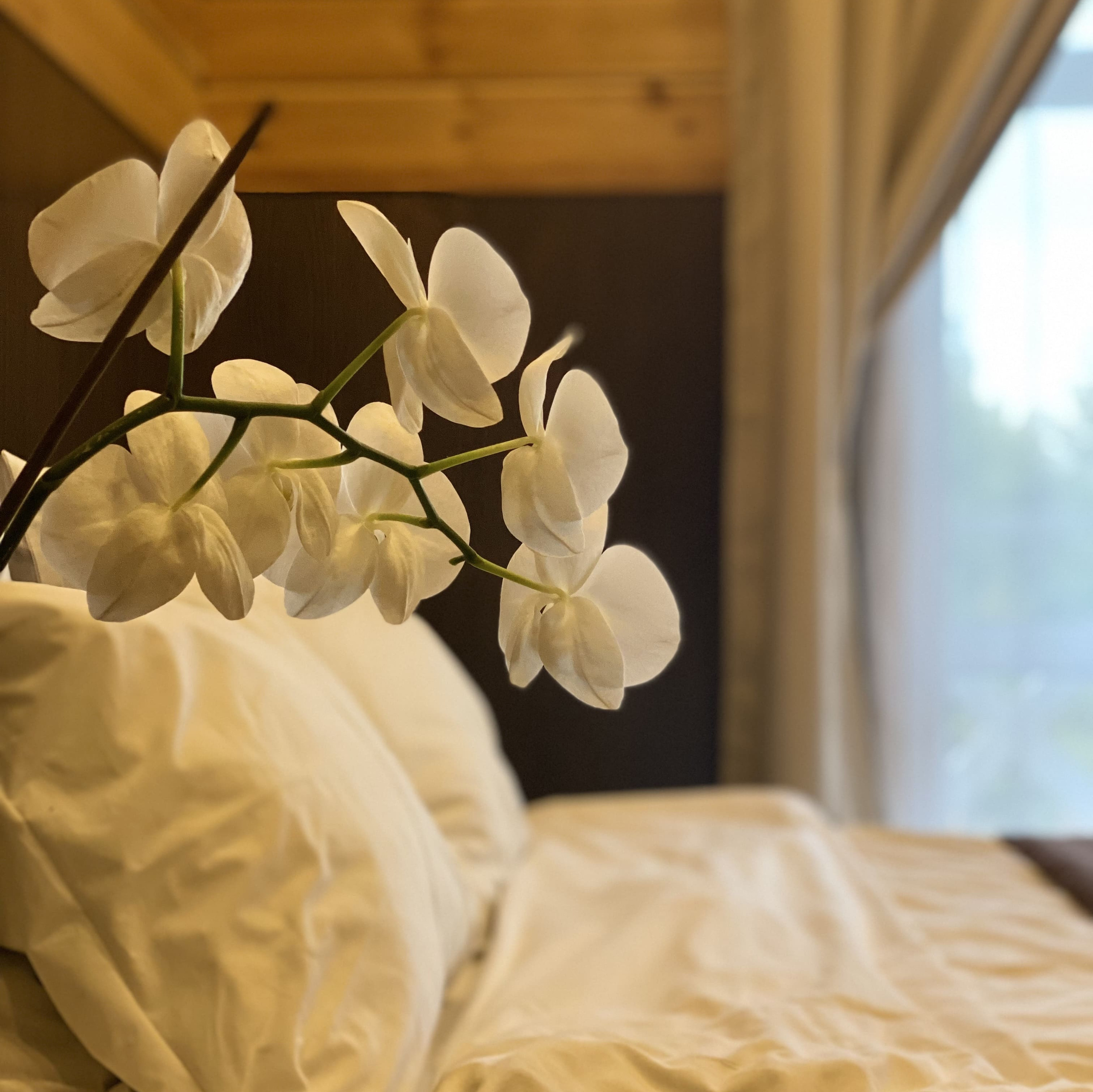 Правила проживания. Комплекс коттеджей Paivila Village