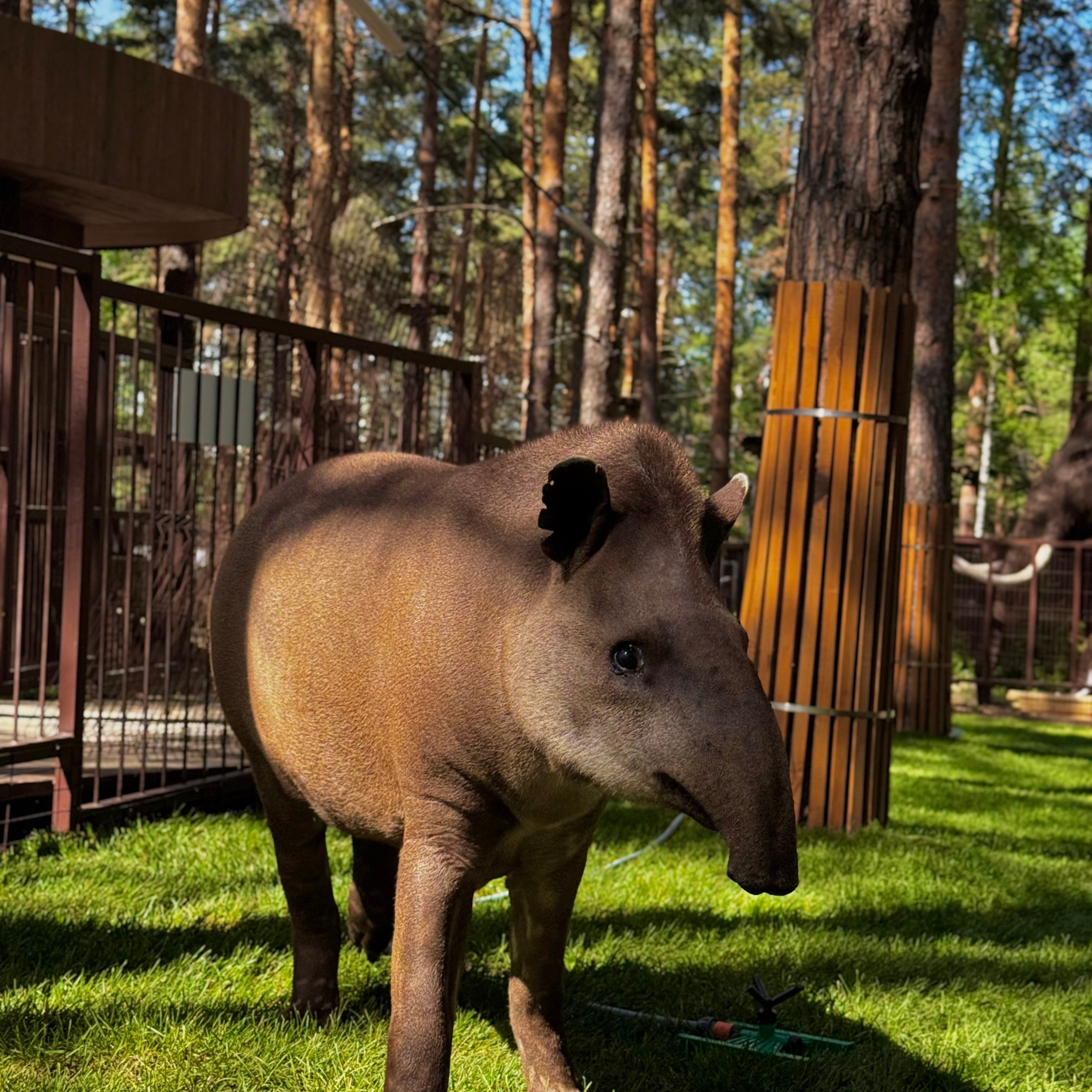 Новости зоопарка Лесная Братва в Екатеринбурге