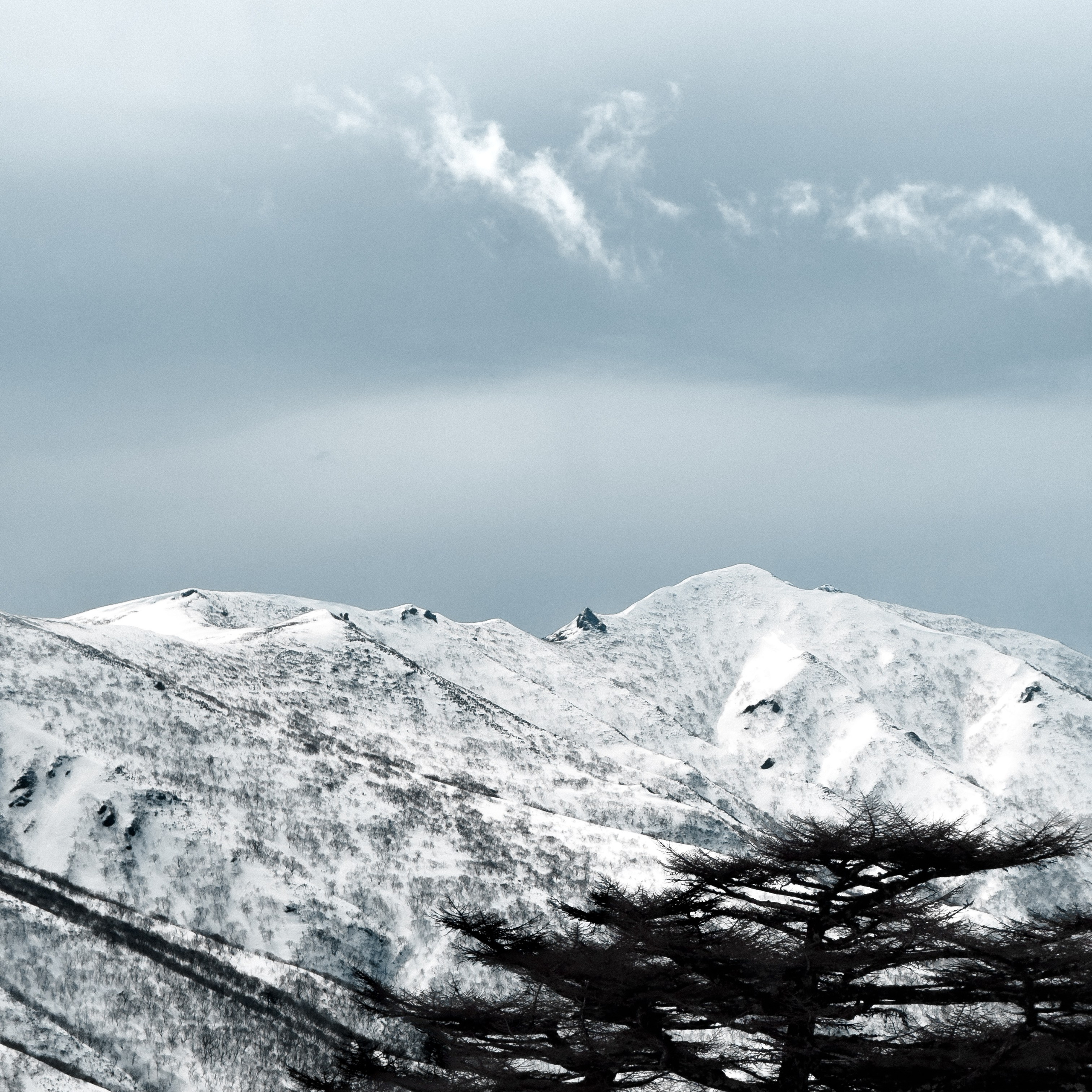Услуги. Фотограф Итуруп | Бурова Екатерина