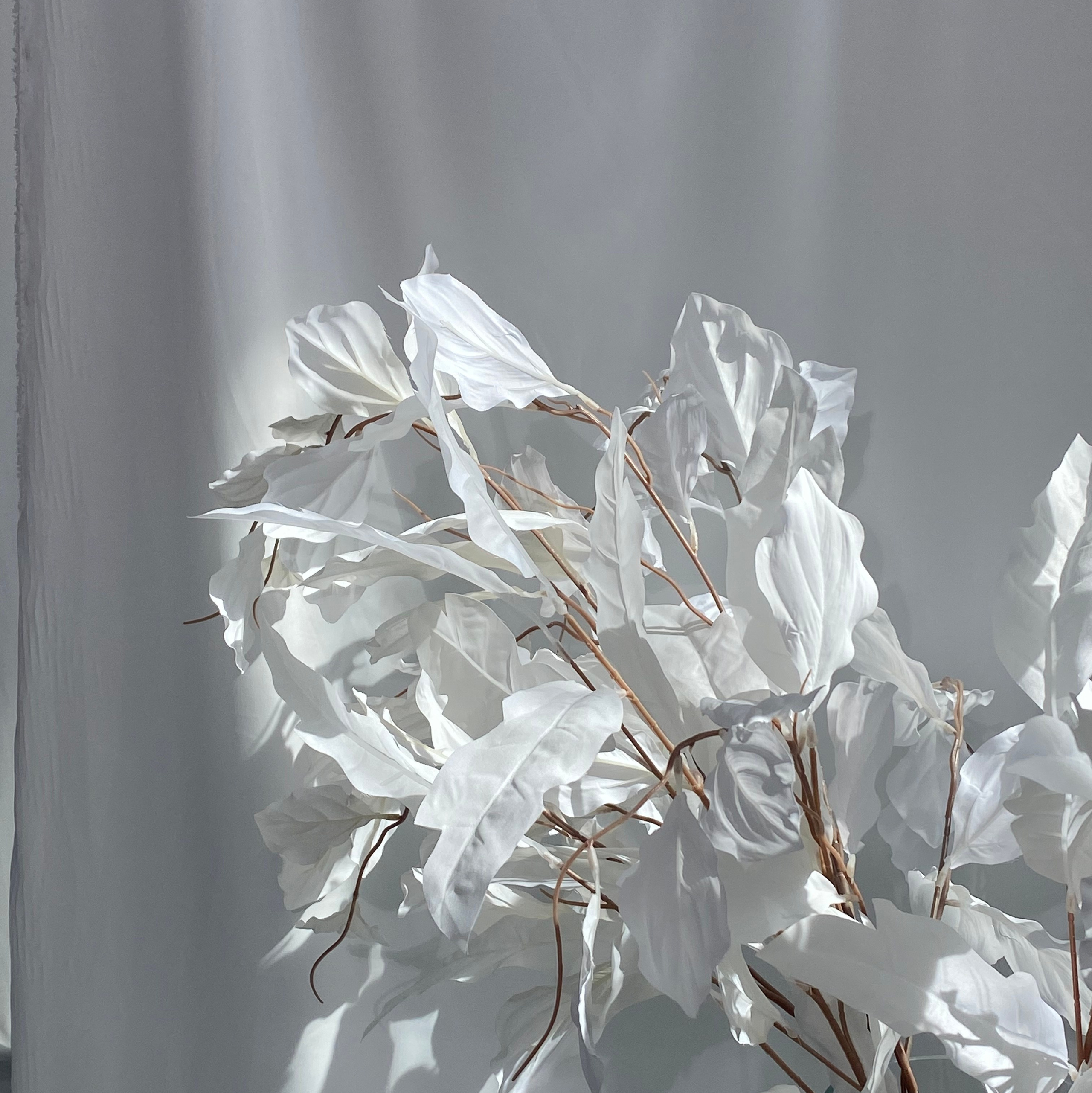 Консультации по блогу. Фотограф Малофеева Алина