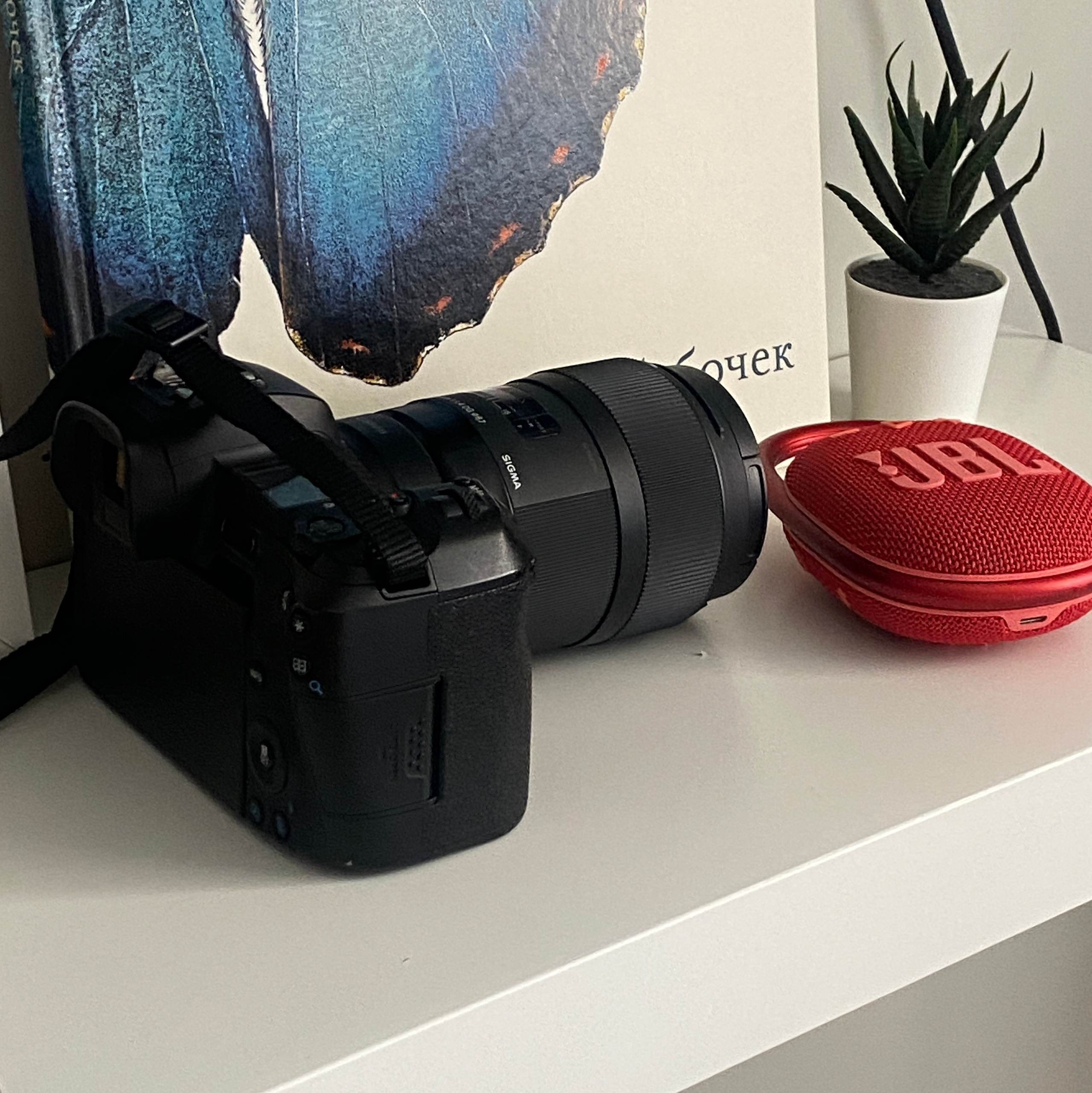 Идеи для контента. Фотограф Настя Галингер Краснодар