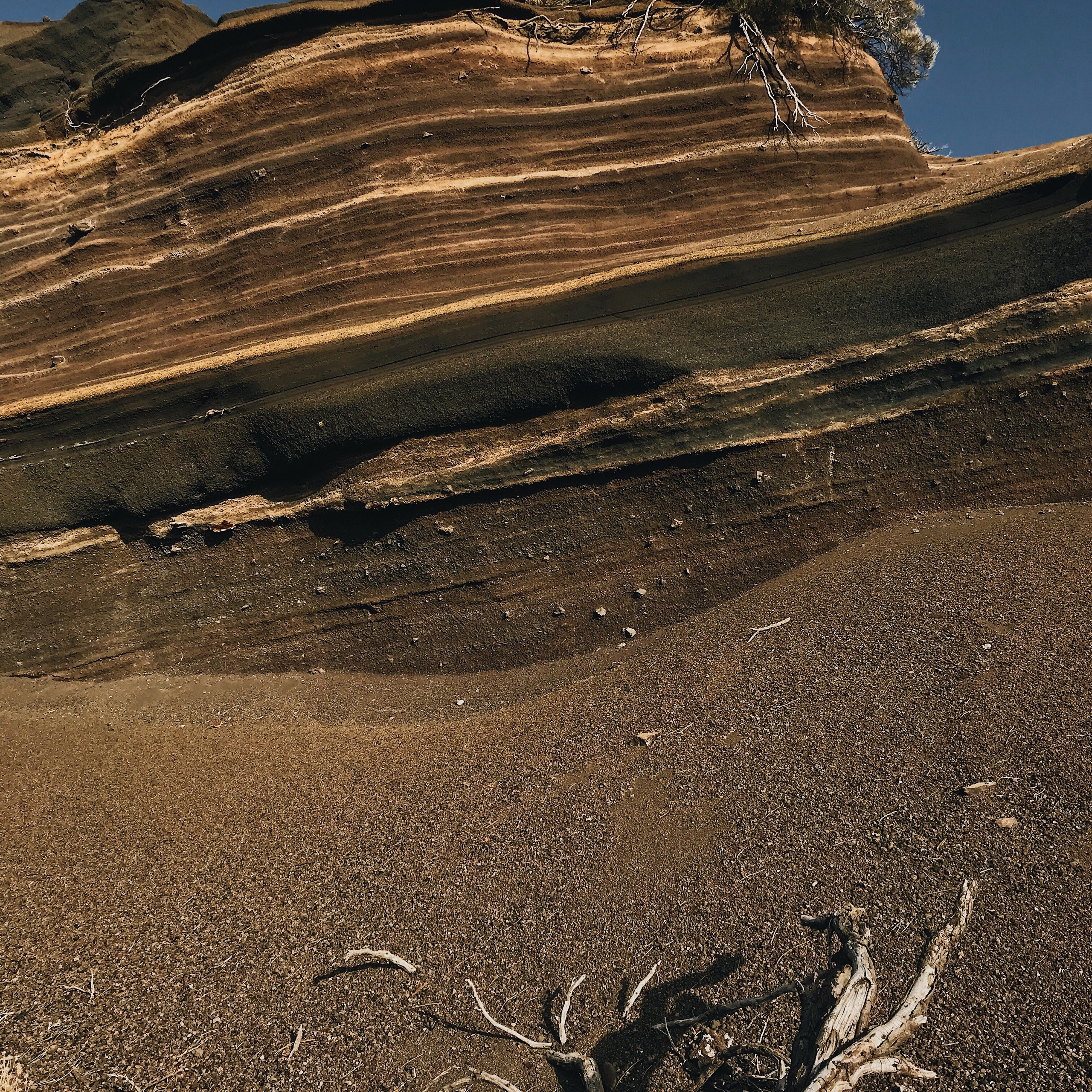 Анна Литвинова