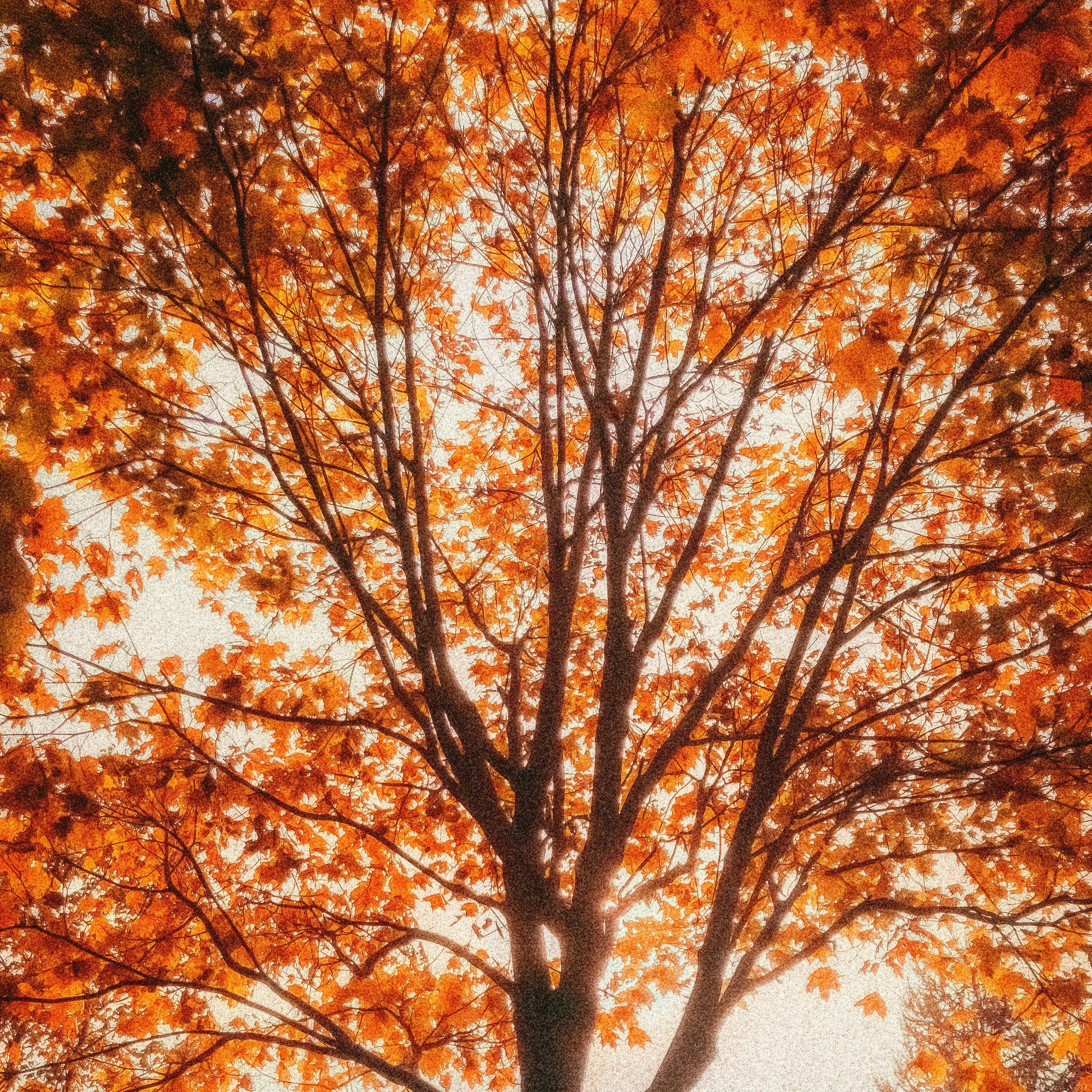 Услуги. Главная