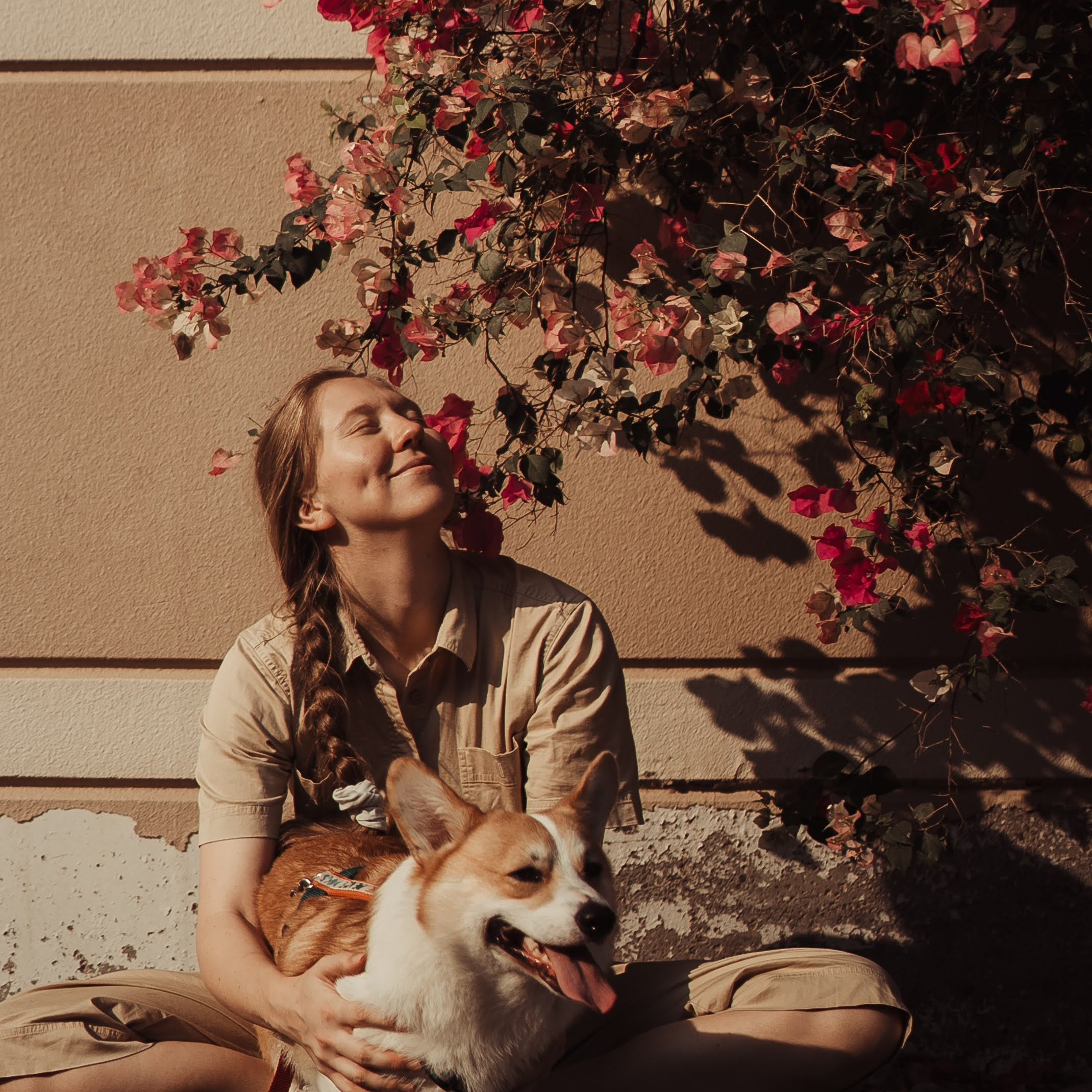 How it works. Photos of you and your pet