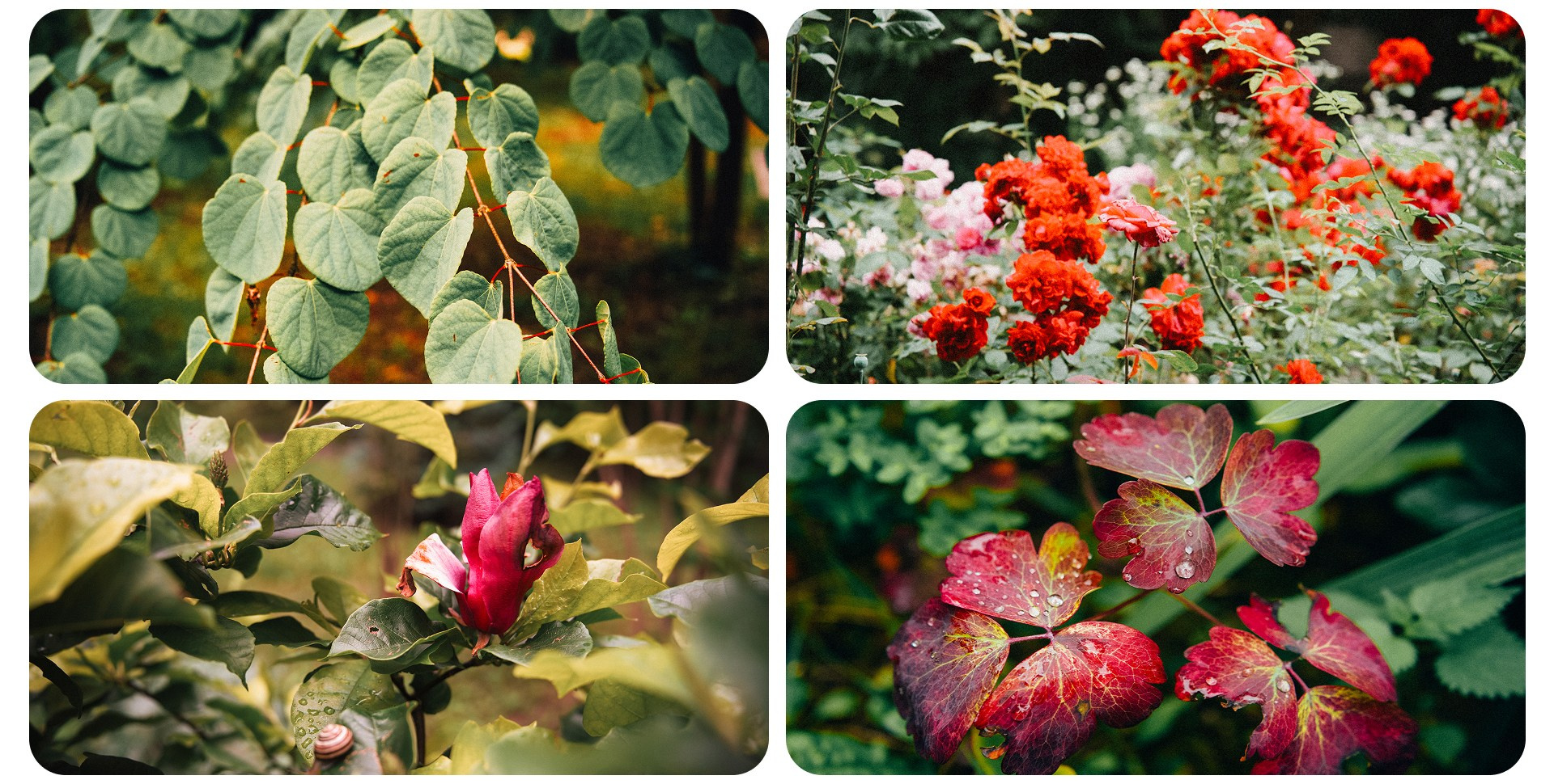 Калининград 3. Фотограф из Москвы — DASHA NOVA | Авторская фотография в разных жанрах