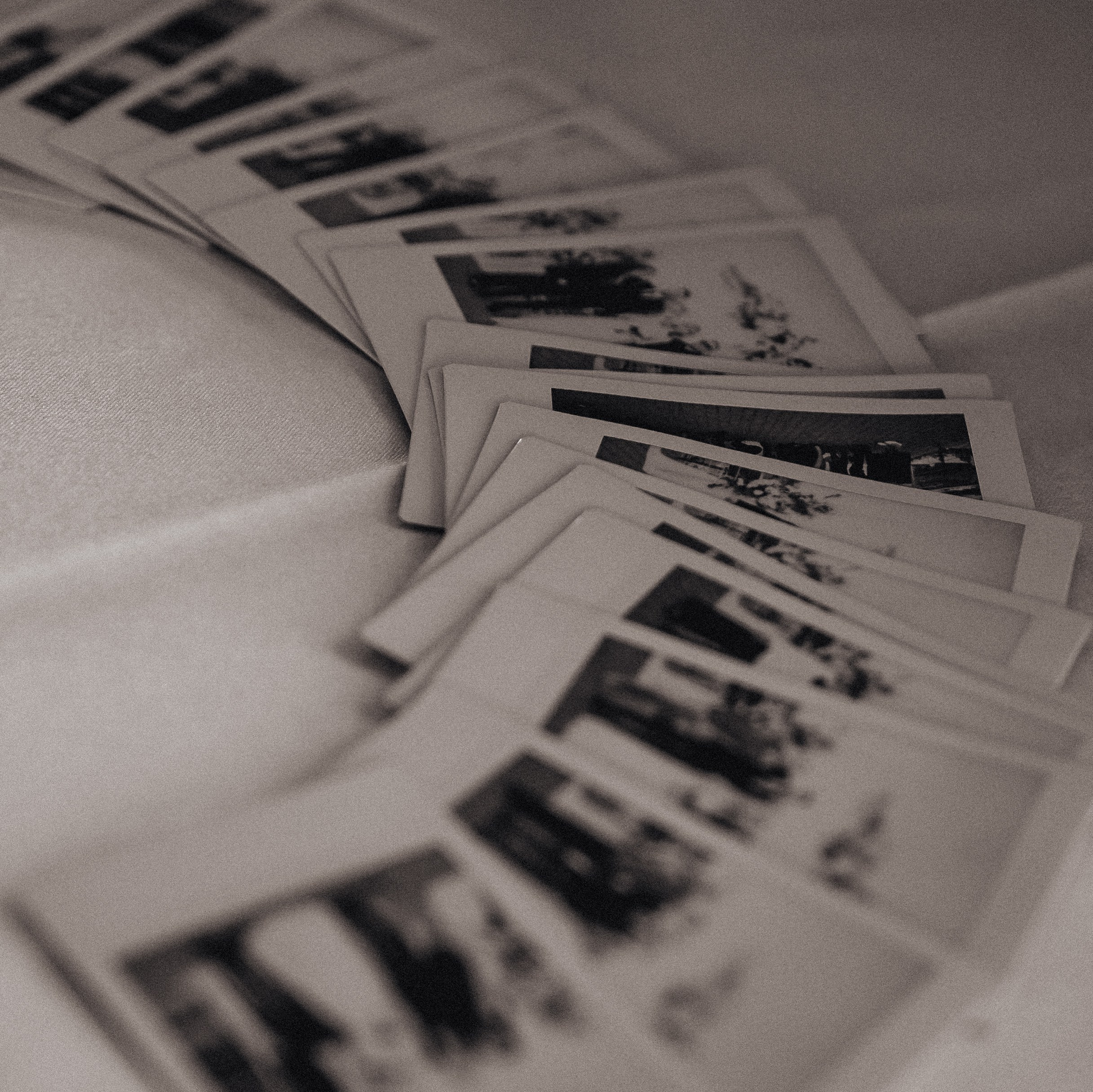 Семейный и свадебный фотограф в Саратове Евангелина Штах