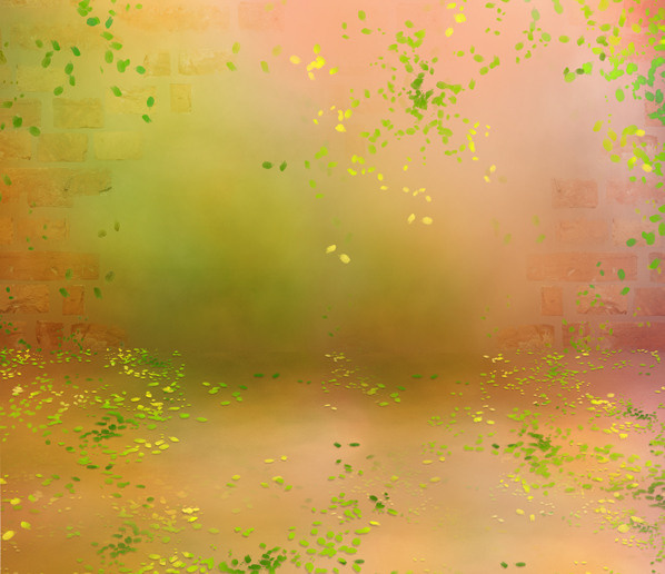 Аренда фотостудии Темиртау, Караганда.