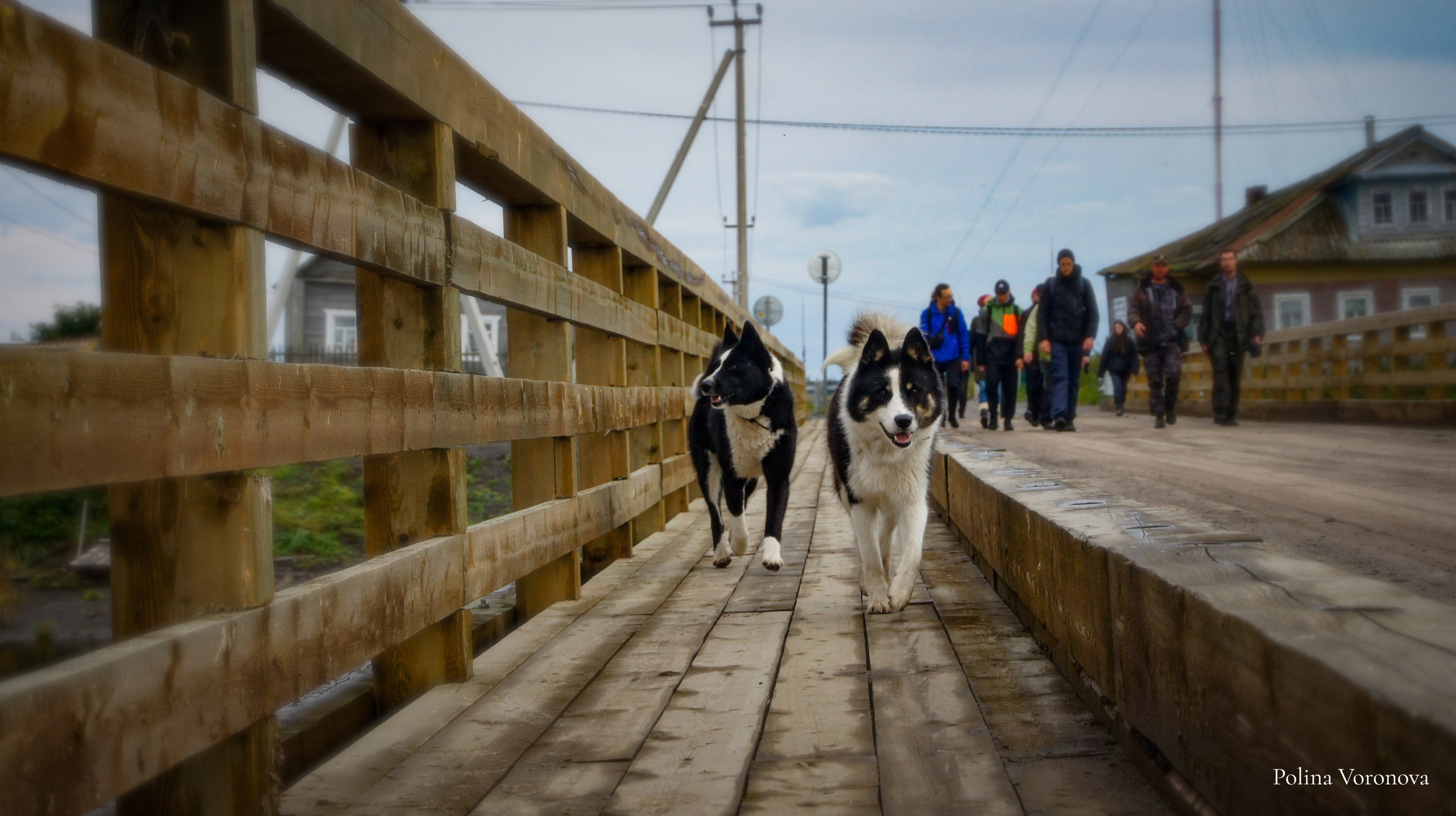 Арктика: ближе, чем кажется | Фотовыставка. Хорошая экспедиция