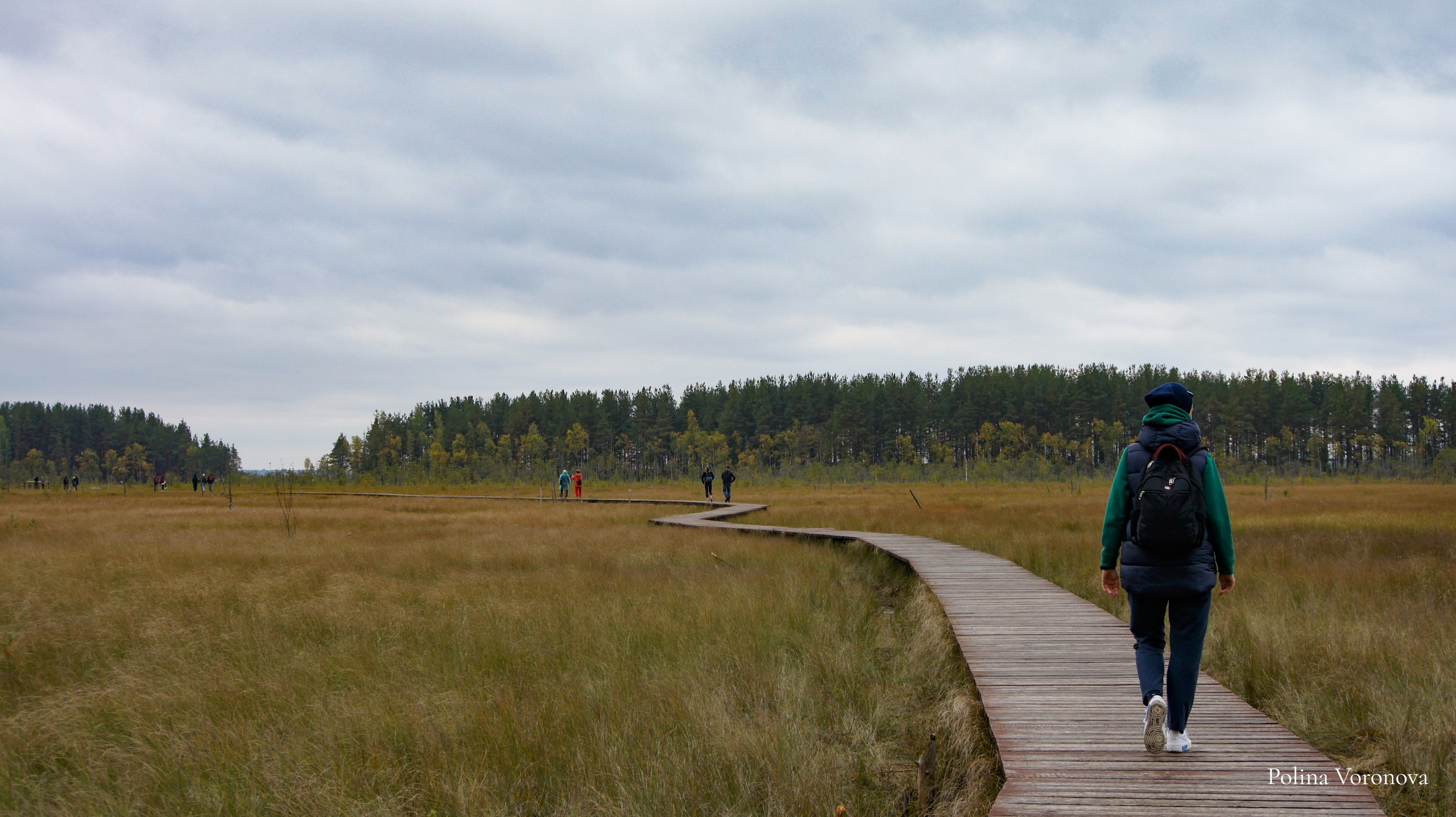 Арктика: ближе, чем кажется | Фотовыставка. Хорошая экспедиция