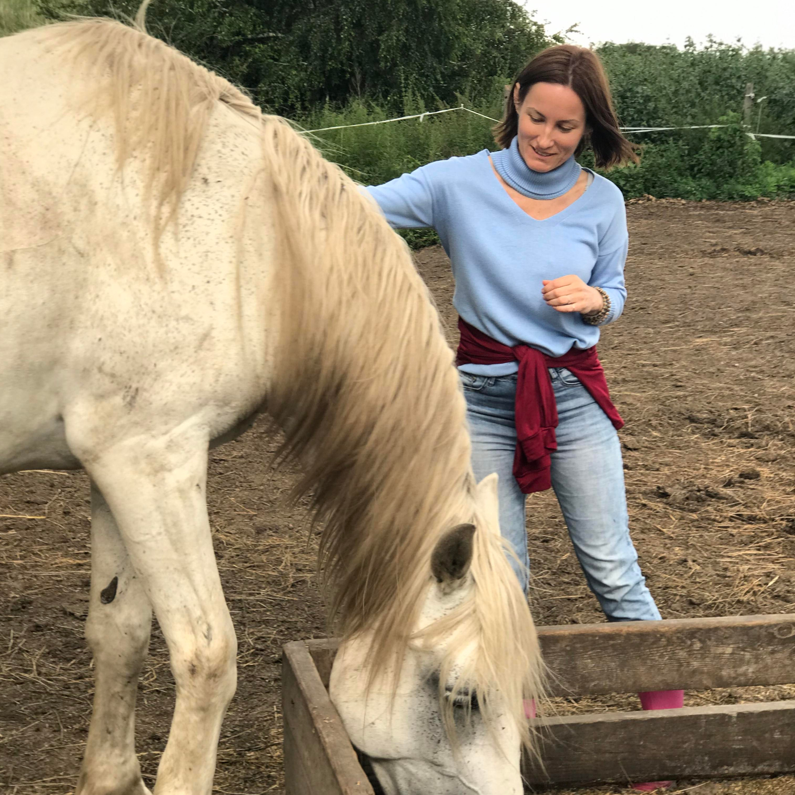 Свободная ипповенция. «Свет внутри»