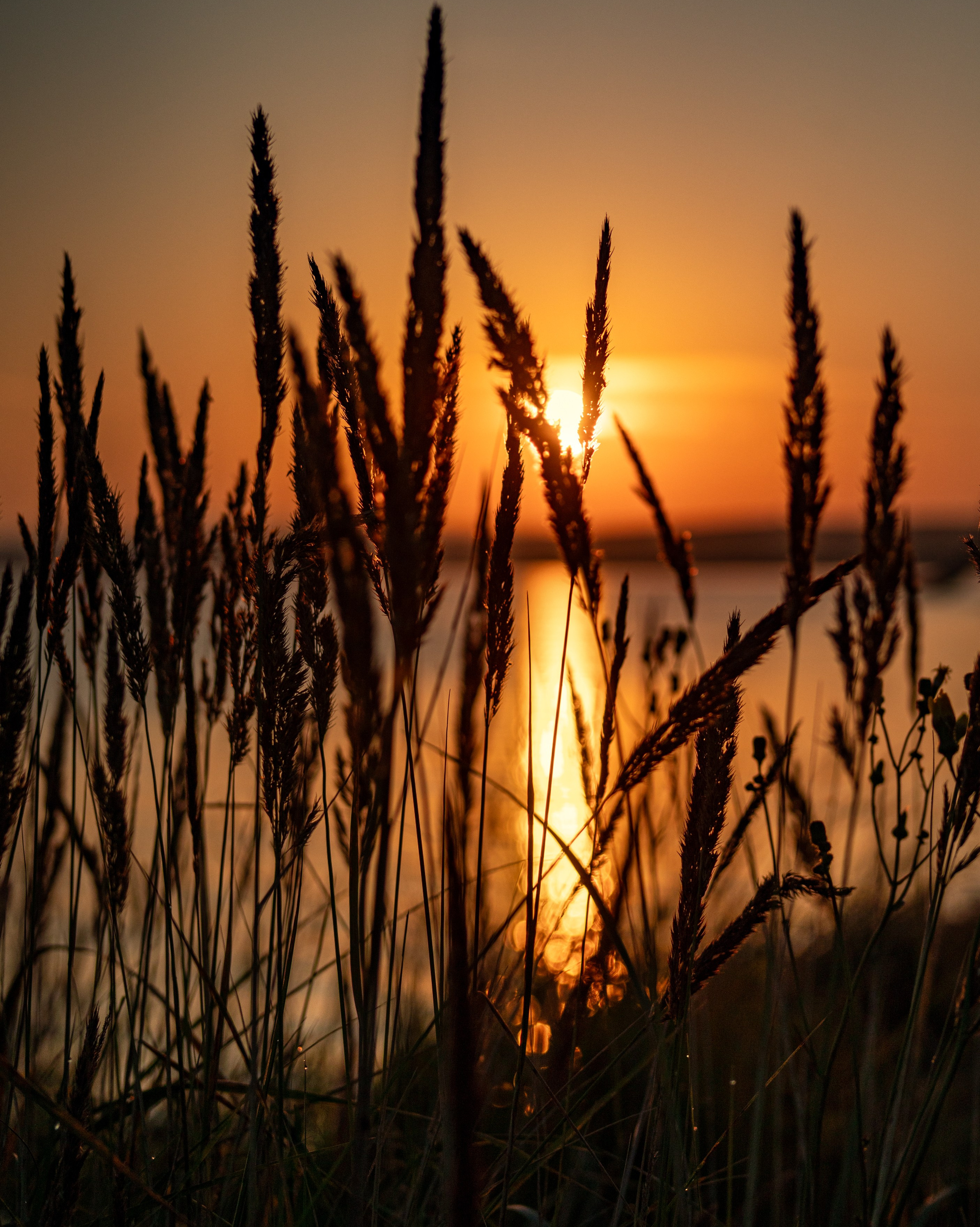 Фотограф в Саяногорске, Абакане Владимир Воробьев