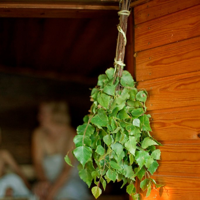 Приглашаем в банный комплекс Шалово-Парк. Оздоровительный комплекс Шалово-парк Серебряные ключи