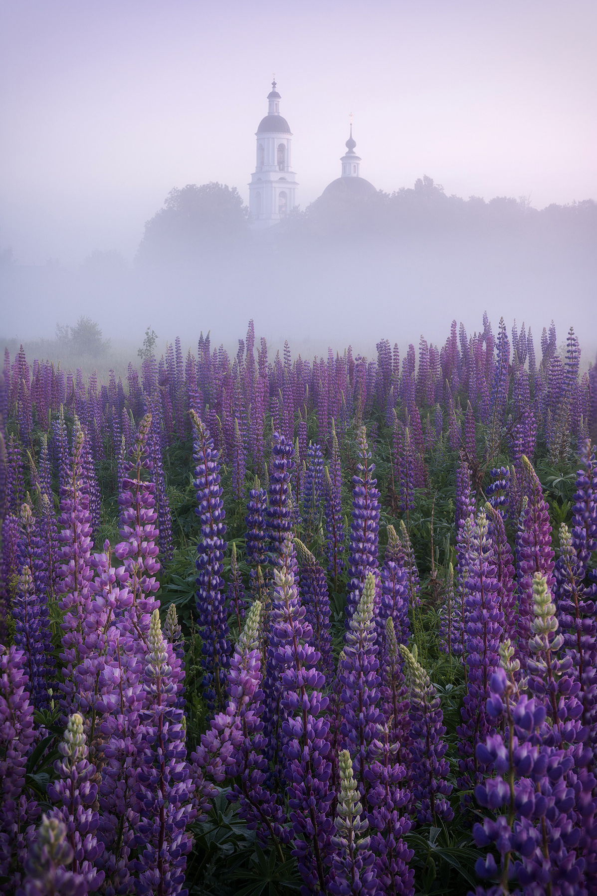 Фотограф из Москвы. Предметный фотограф в Москве Вячеслав Тимошенко