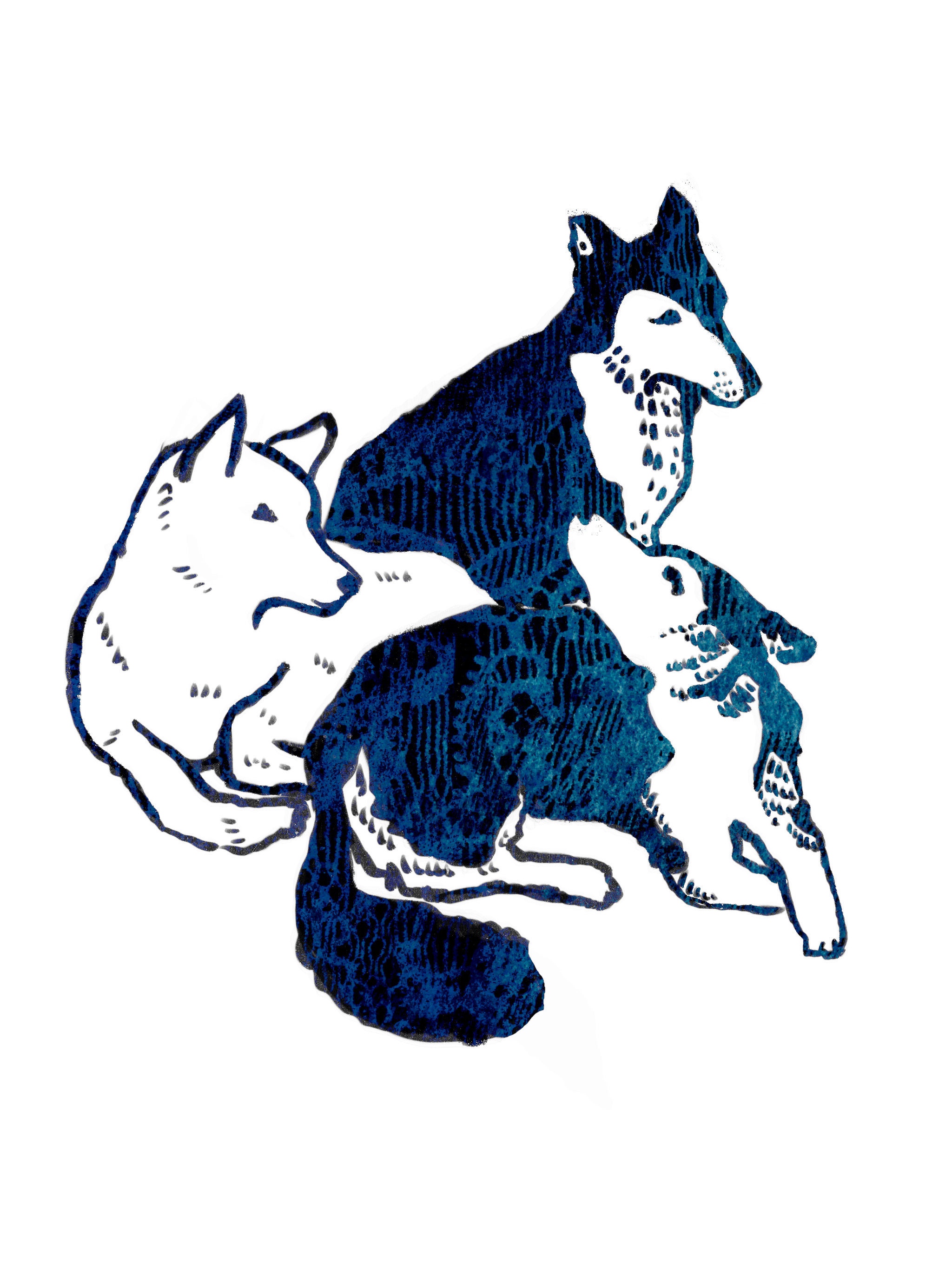 ТУР ИМАННА. KataVata art&animation