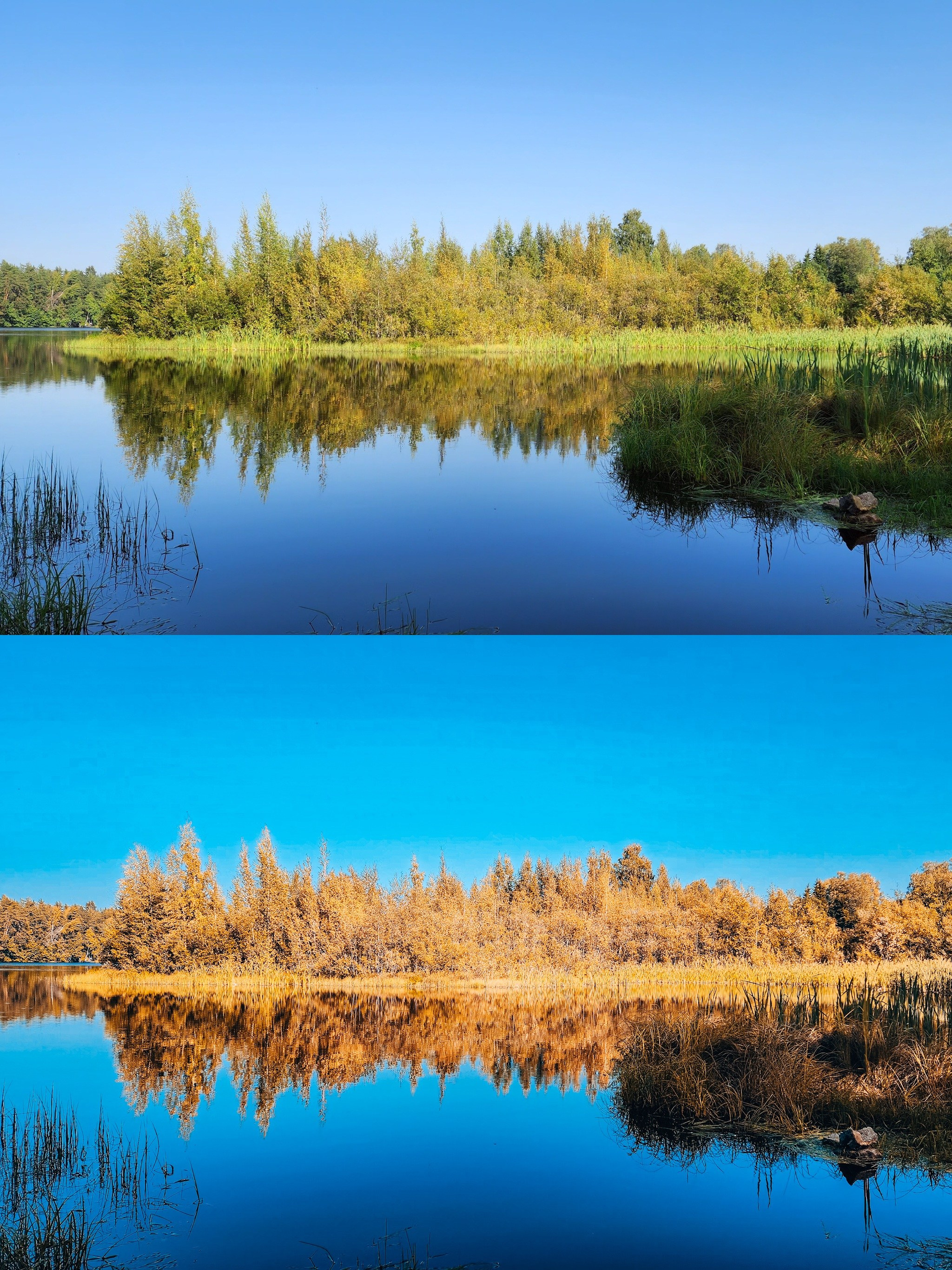 Магазин Пресетов. Семейный, свадебный, репортажный фотограф в Санкт-Петербурге Ярик Арс
