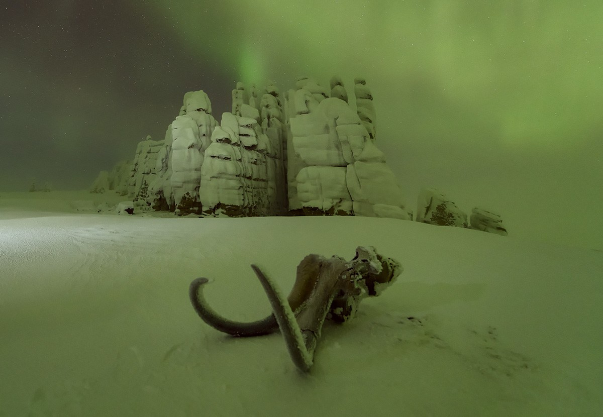 Охота за бивнем мамонта в Якутии