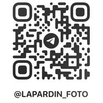 Блог. Об авторе