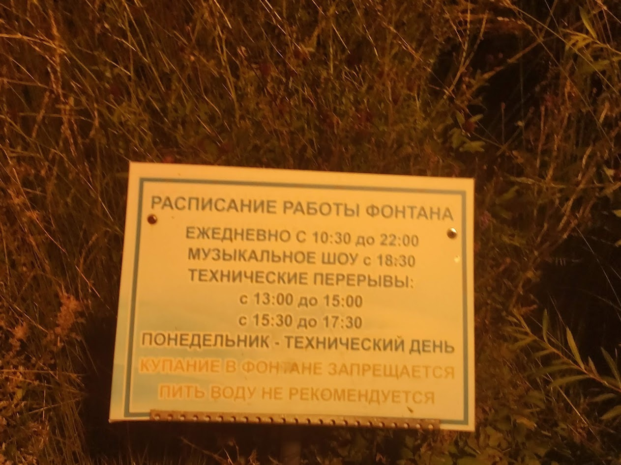 Фото отчет  о  сухих  фонтанах  в Воронеже. Фотограф Тамара Нижельская Воронеж