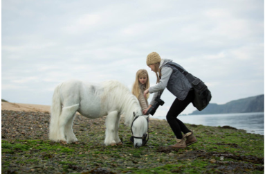 Онлайн обучение. Елена Шумилова