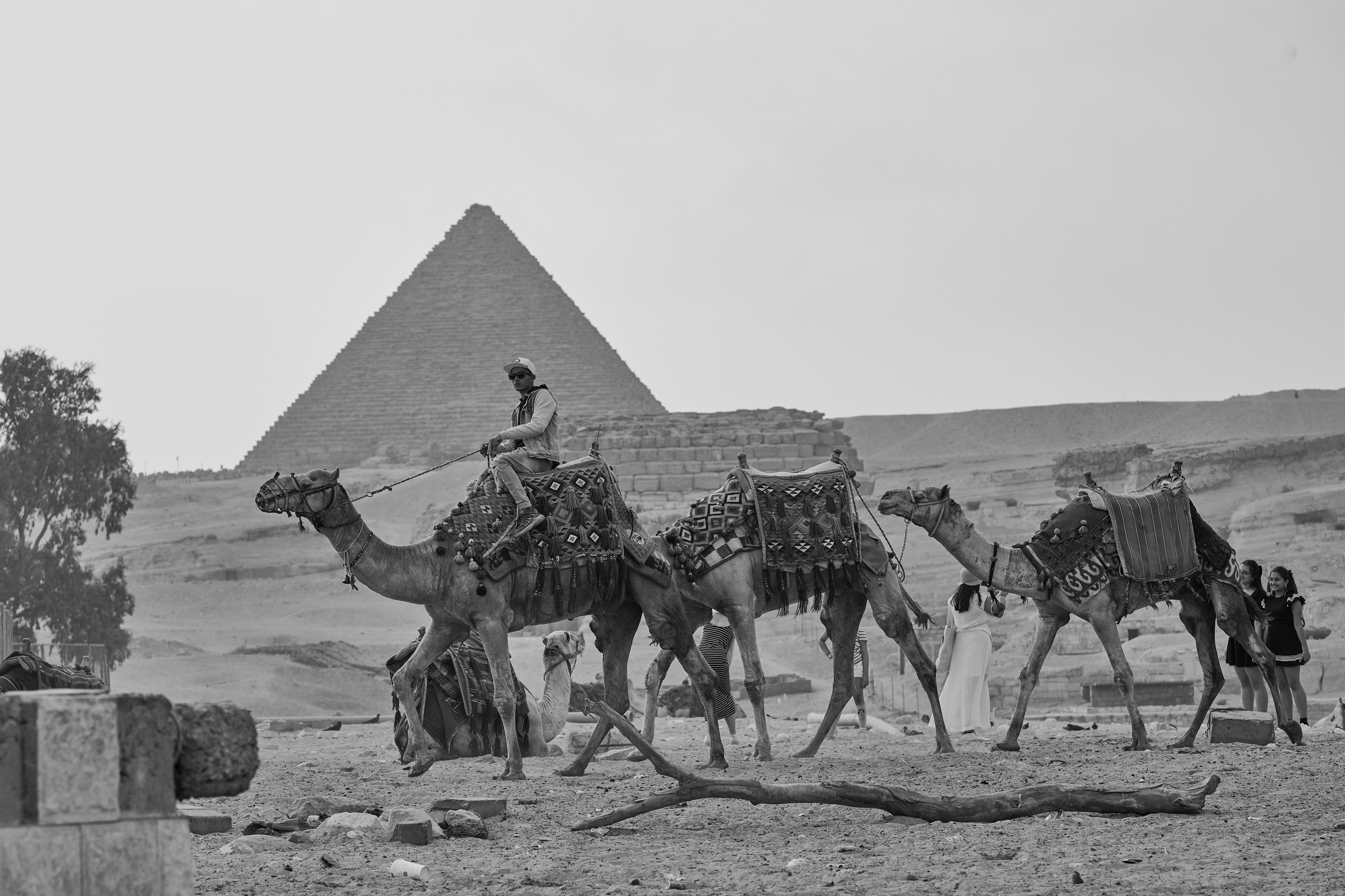 Персональная выставка авторской фотографии "Добро пожаловать в Новый Мир" 15 декабря 2021 - 20 февраля 2022 года. Фотограф Роман Адлер.