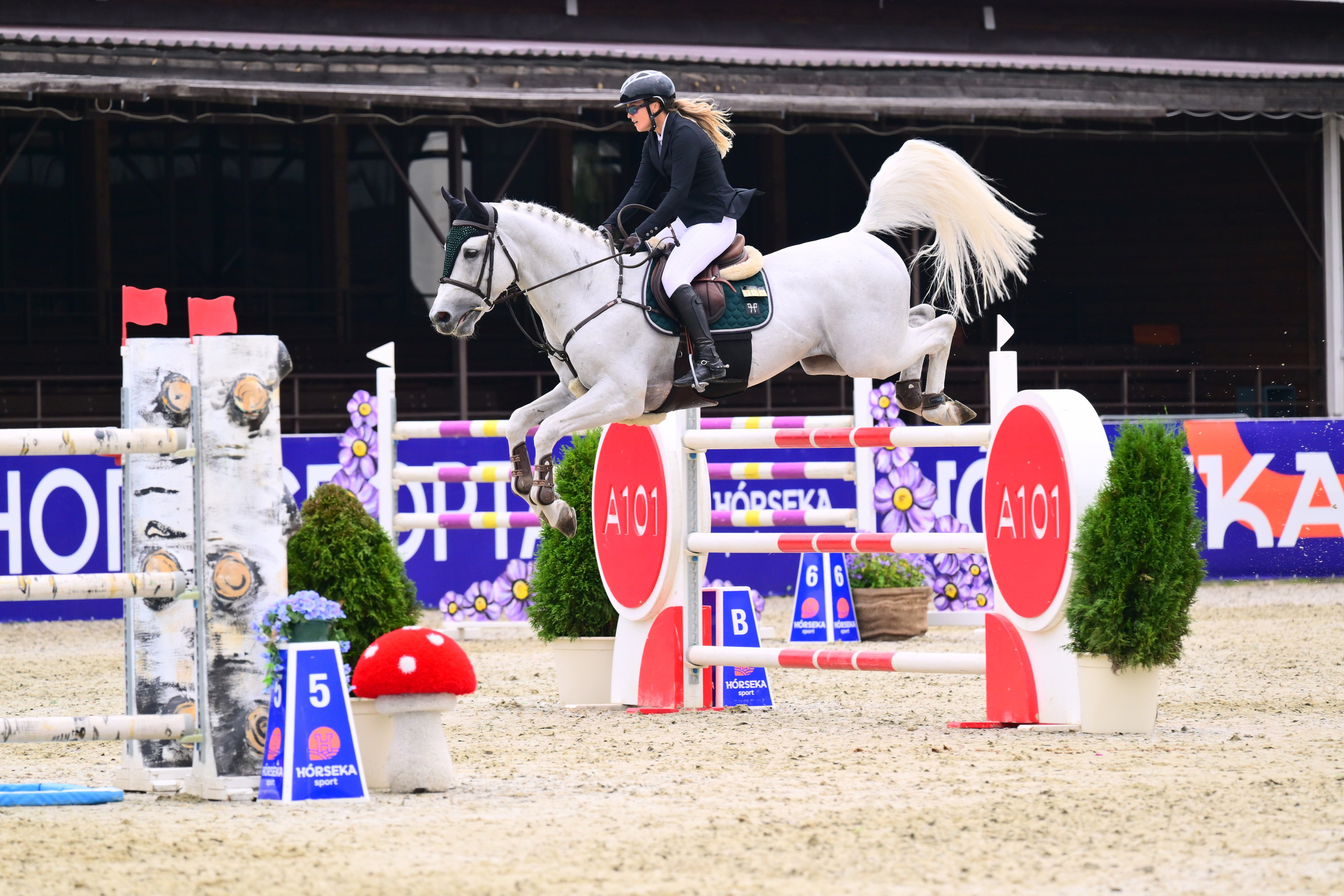 КСК Horseka, Чемпионат Росии+Молодые+Клубные, 30 июля — 3 августа,. ТУРНИРНАЯ КОННАЯ ФОТОГРАФИЯ, Руднева Ольга и Евгений Адеев