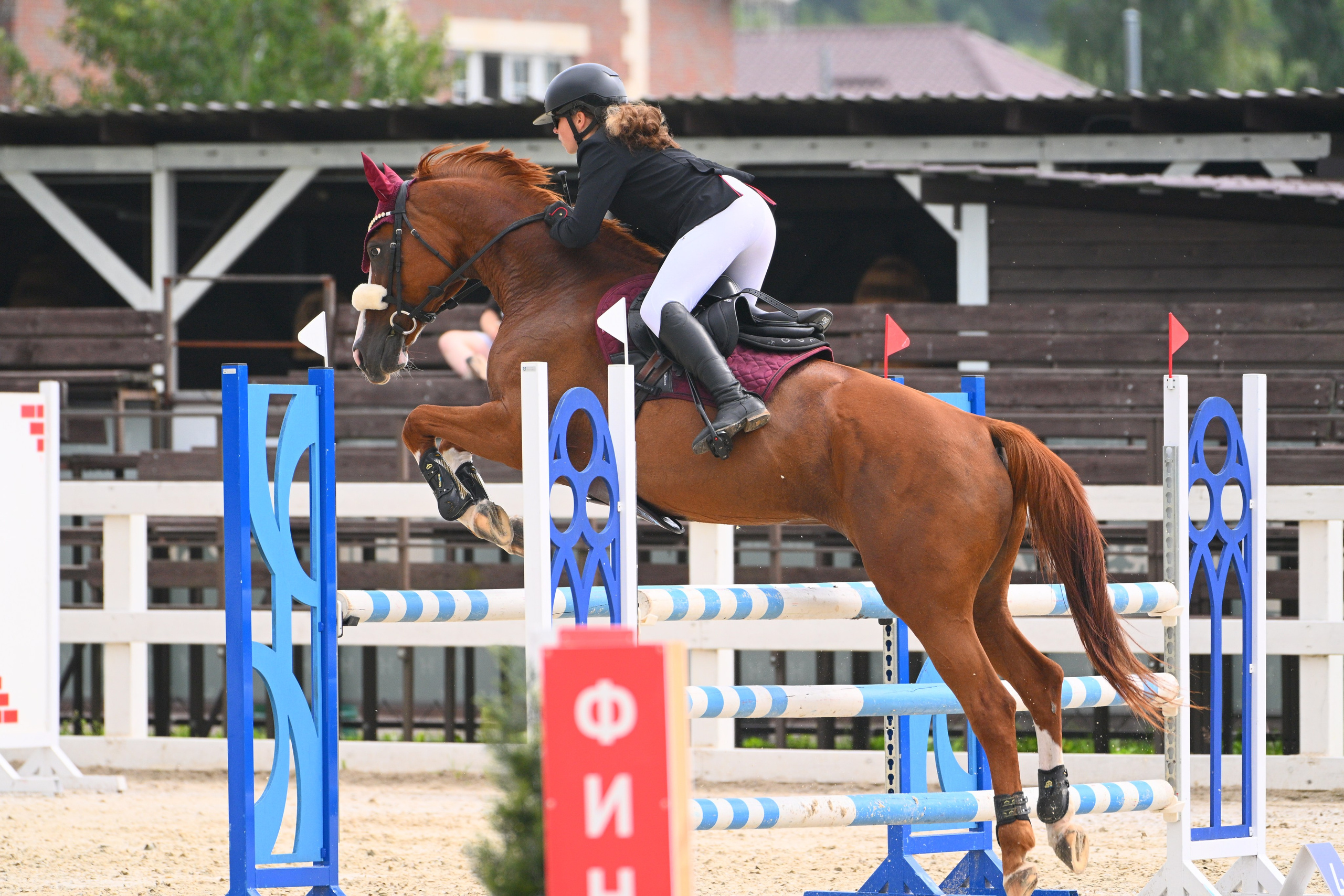 01-02 авг 2025. Малое Поле. «КУБОК «HORSEKA», 5 этап. ТУРНИРНАЯ КОННАЯ ФОТОГРАФИЯ, Руднева Ольга и Евгений Адеев