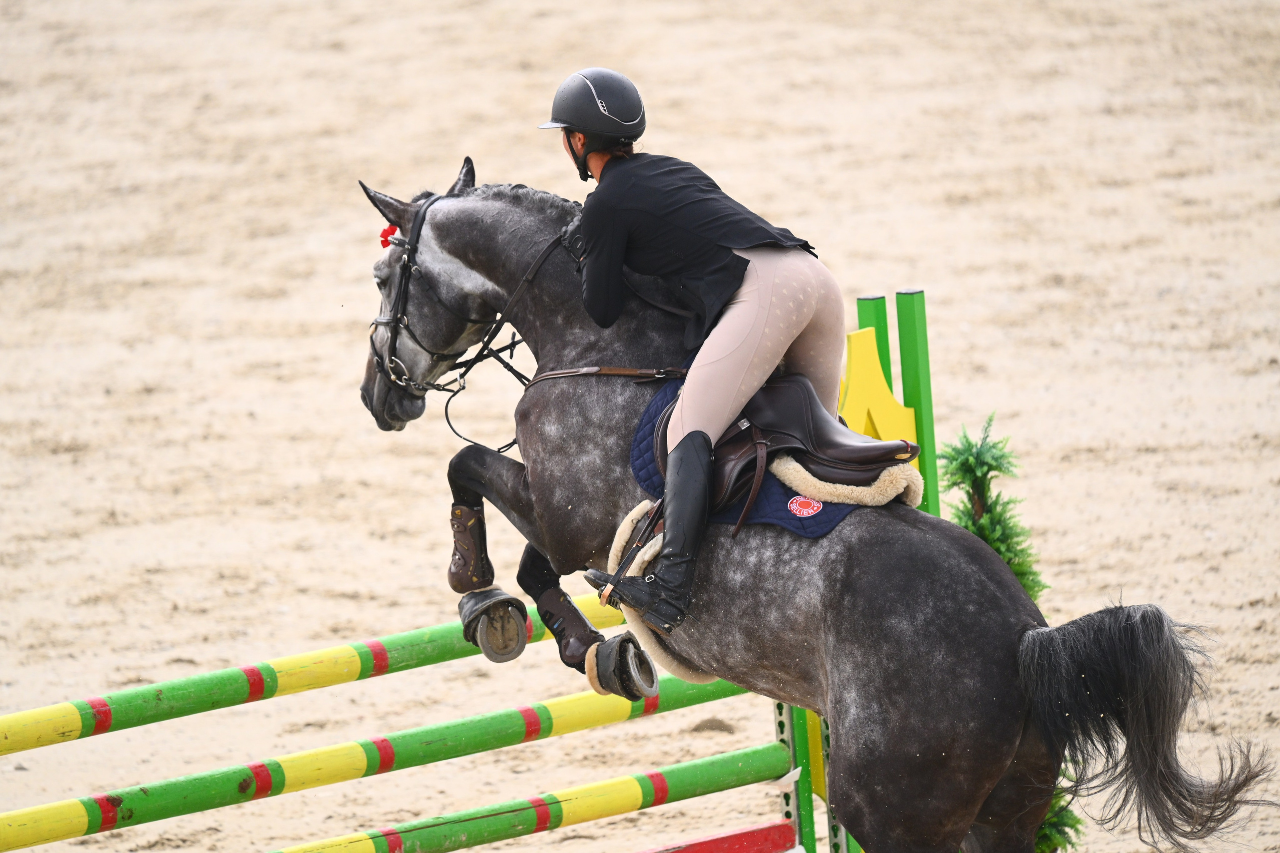 01-02 авг 2025. Малое Поле. «КУБОК «HORSEKA», 5 этап (1). ТУРНИРНАЯ КОННАЯ ФОТОГРАФИЯ, Руднева Ольга и Евгений Адеев