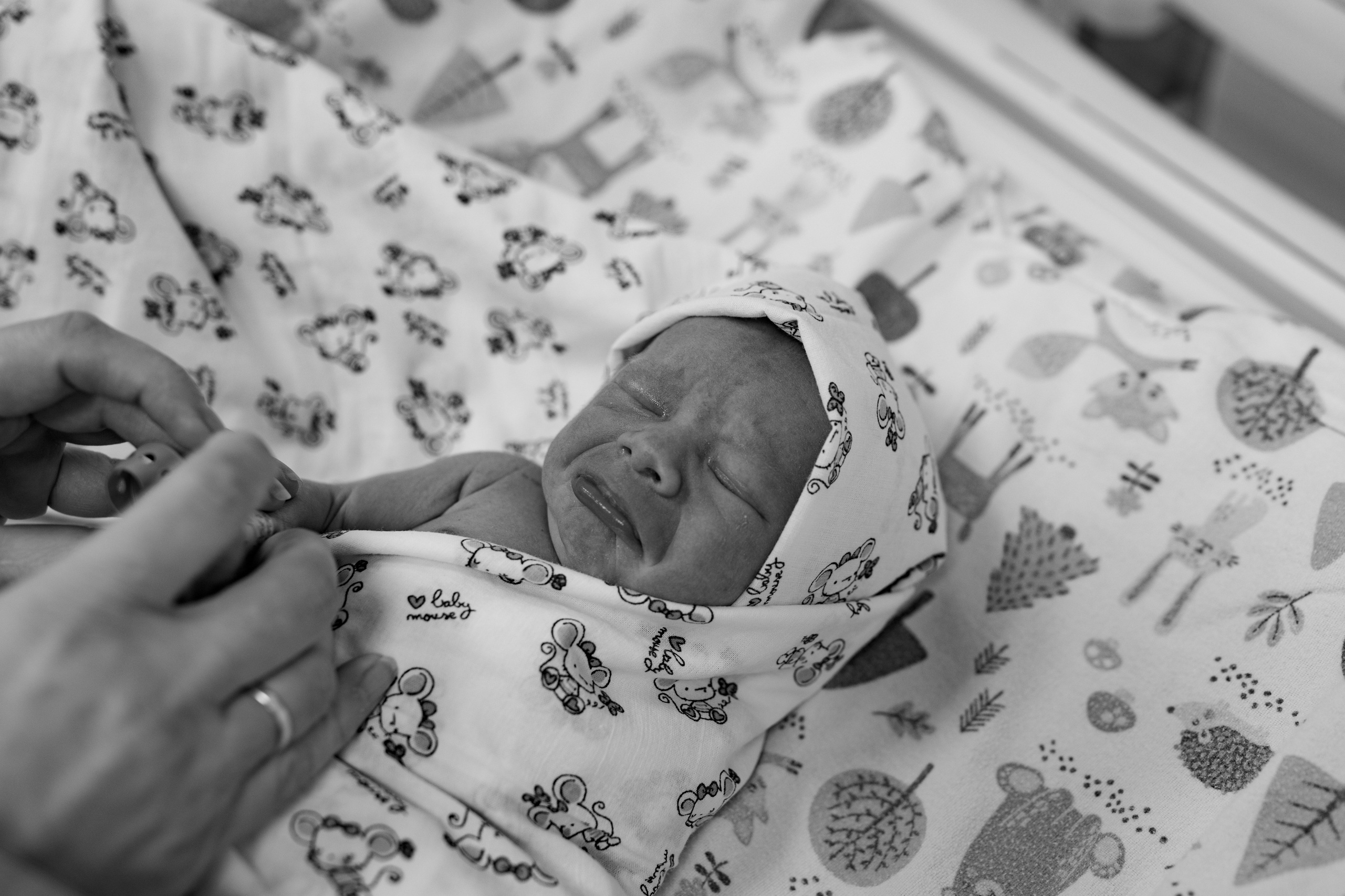Фотограф Этери Кублашвили участник выставки ФОТО ГОДА MFamilia