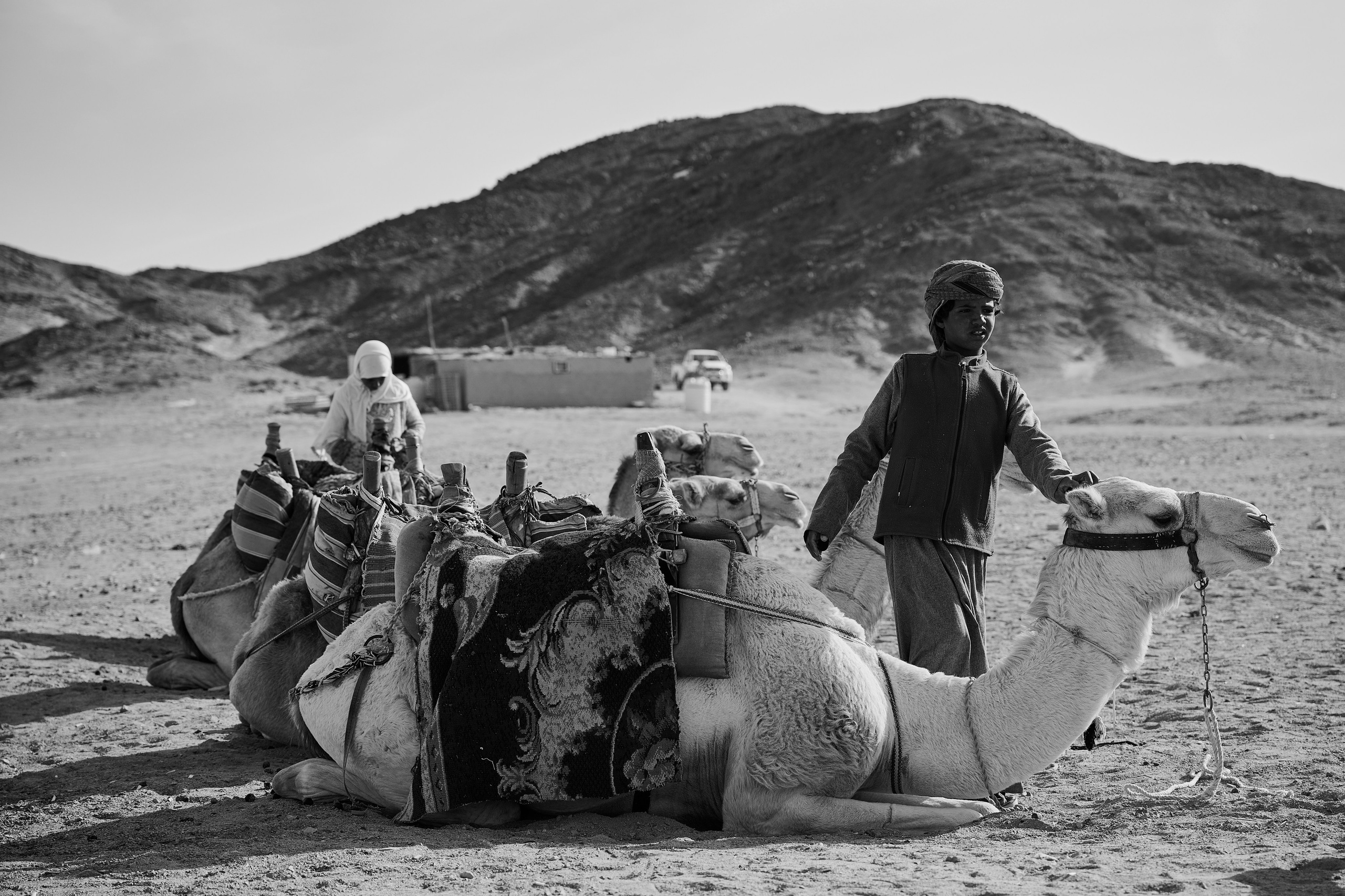 Серия "Память о войне" фотограф Роман Адлер. Выставка "Хроники". Гостиный Двор. Москва