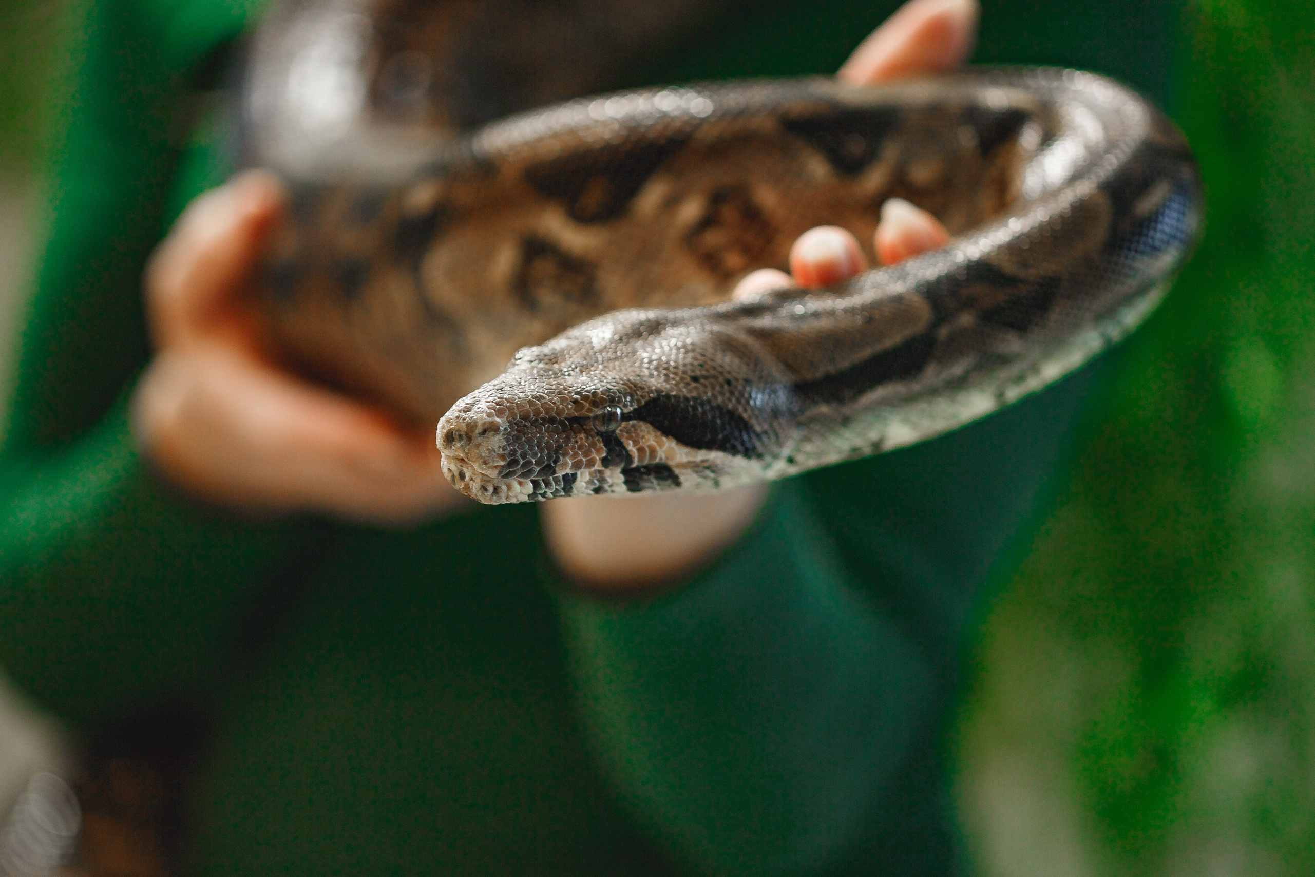 Услуги. Семейный фотограф в Екатеринбурге
