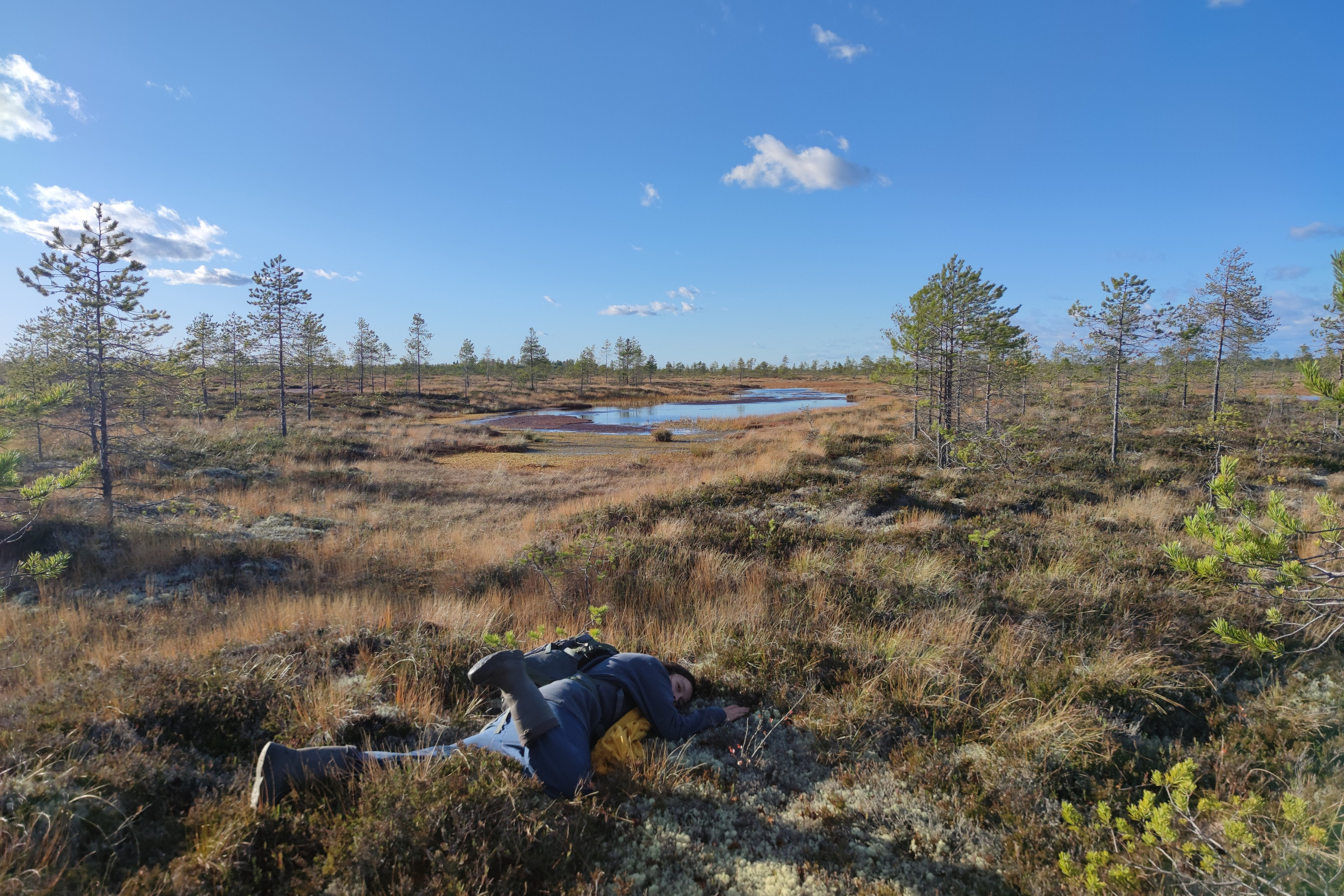 Услуги. Авторские походы по Белому морю
