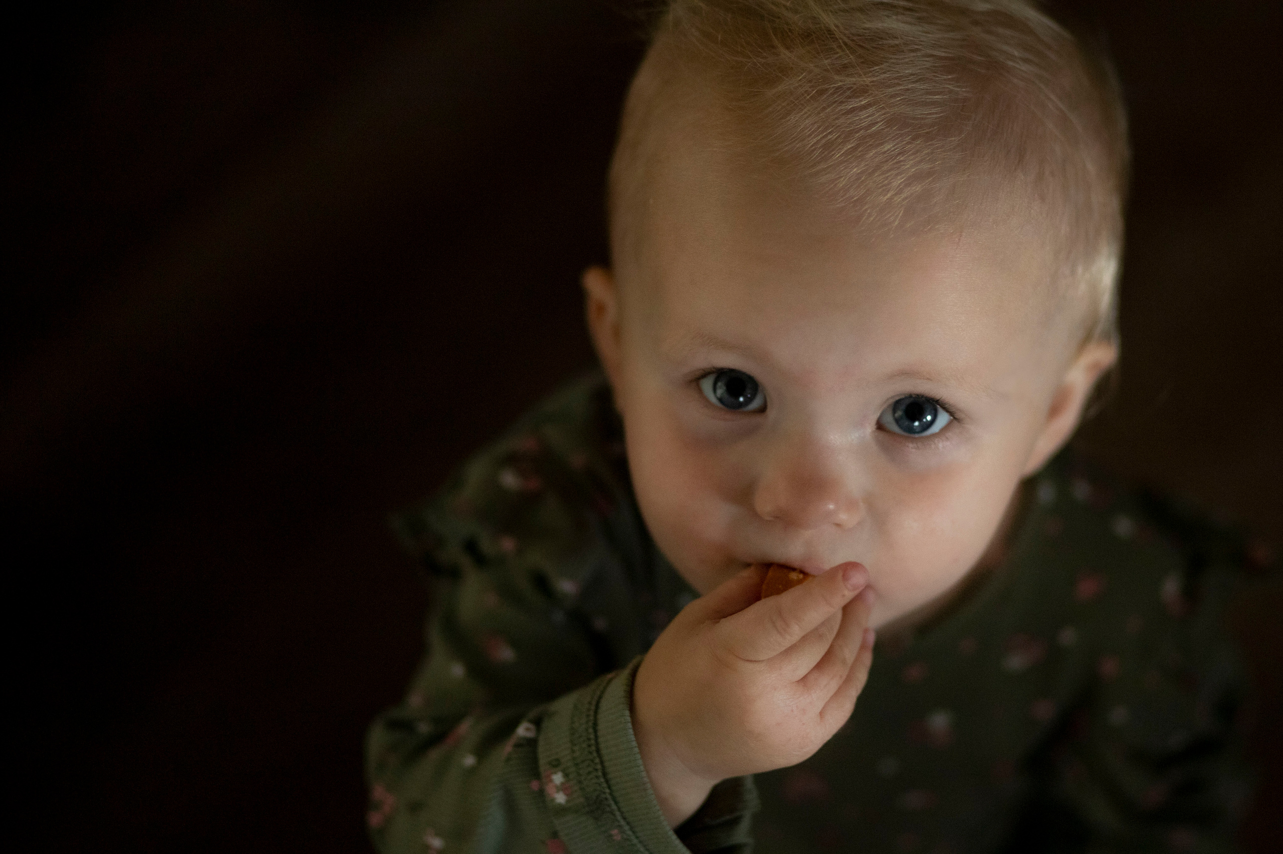Услуги. Детский и семейный фотограф г. Мытищи