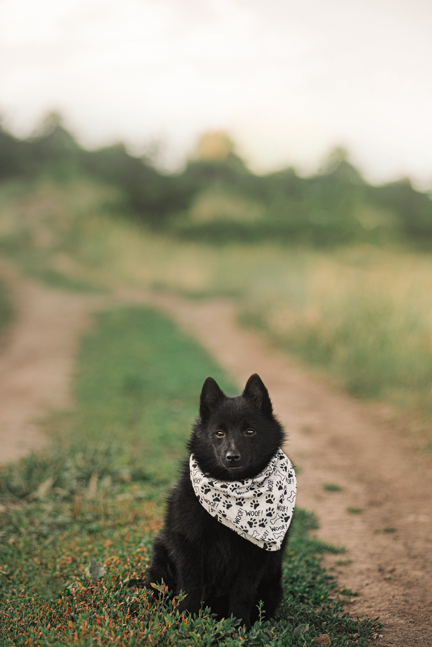 Контакты. Фотограф — анималист Саратов/Москва|Плужникова Юлия