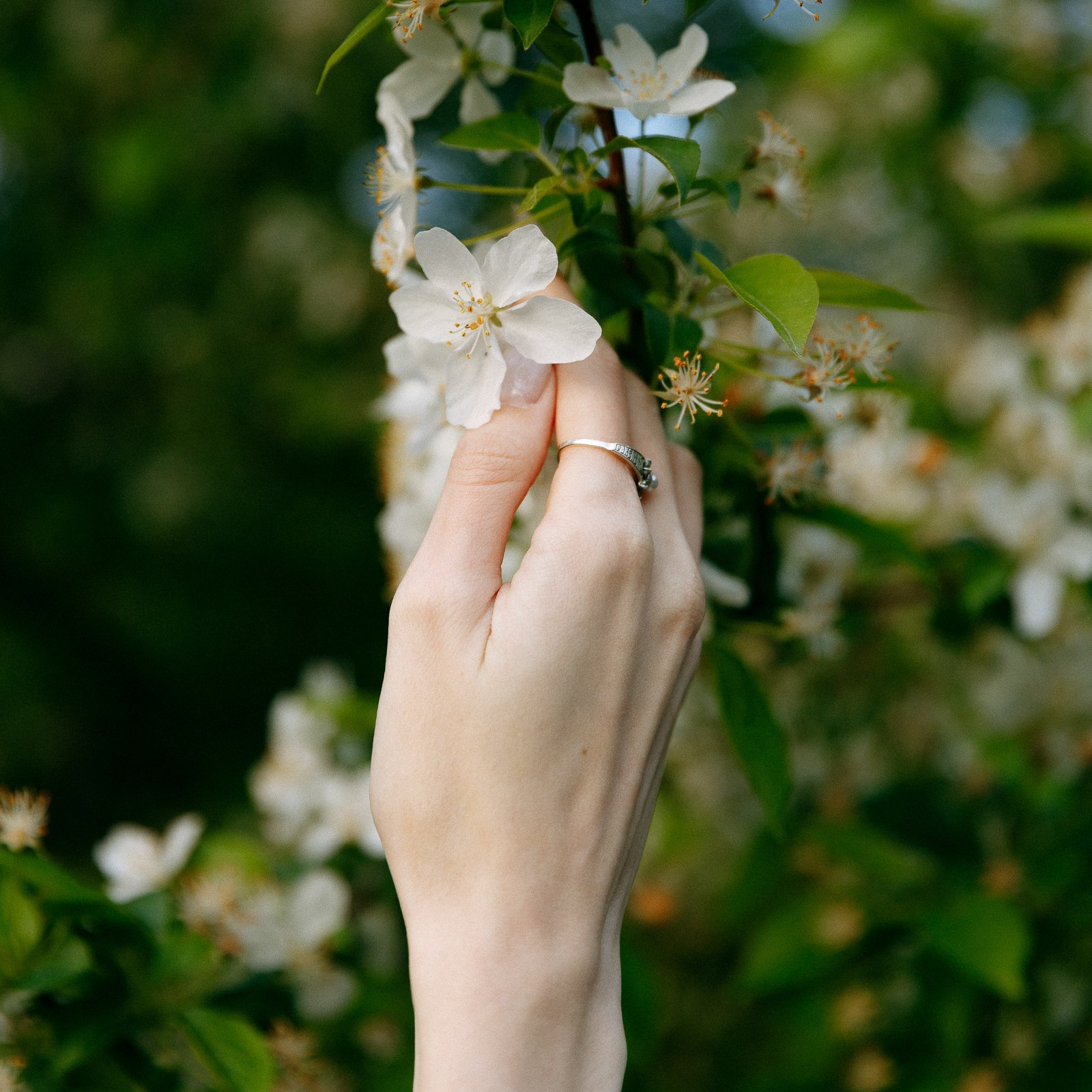 Свадебный фотограф в Самаре и Тольятти Полина Никитина