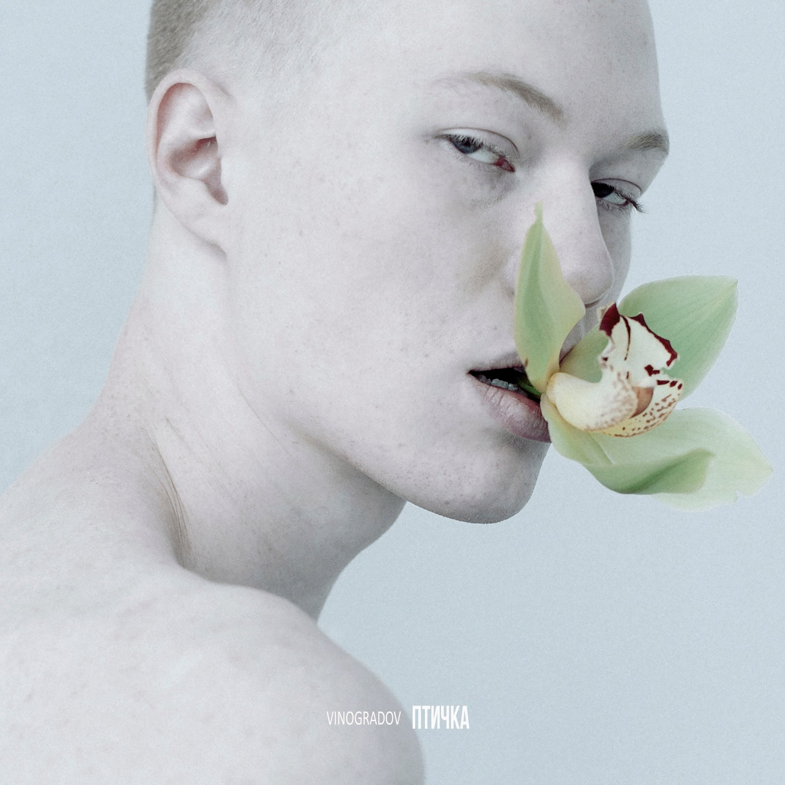 Музыка. Сергей Виноградов фотограф Россия Санкт-Петербург