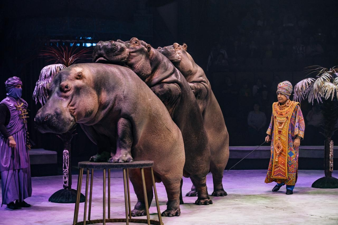 Гастроли шоу Гии Эрадзе «Песчаная сказка» в Пермском цирке. Журнал о самом особенном. Пермь и Пермский край