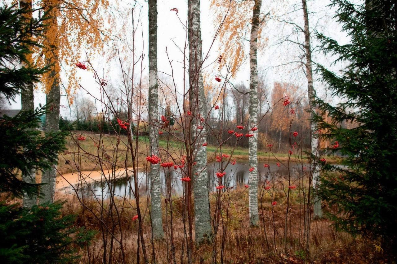 Золотая осень в Шалово-Парк. Оздоровительный комплекс Шалово-парк Серебряные ключи