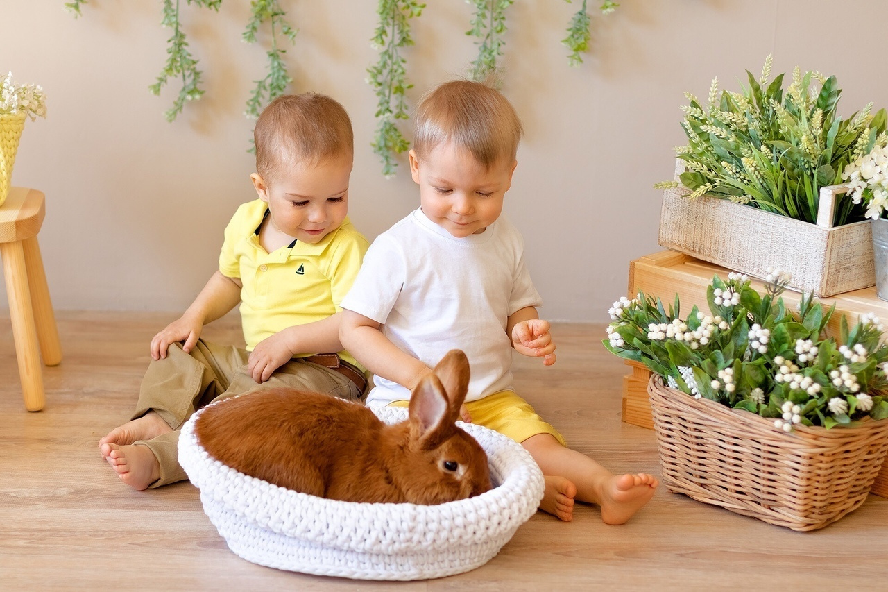 Семейная и детская фотосессия в студии. Семейный фотограф в Санкт-Петербурге Анастасия Нечаева