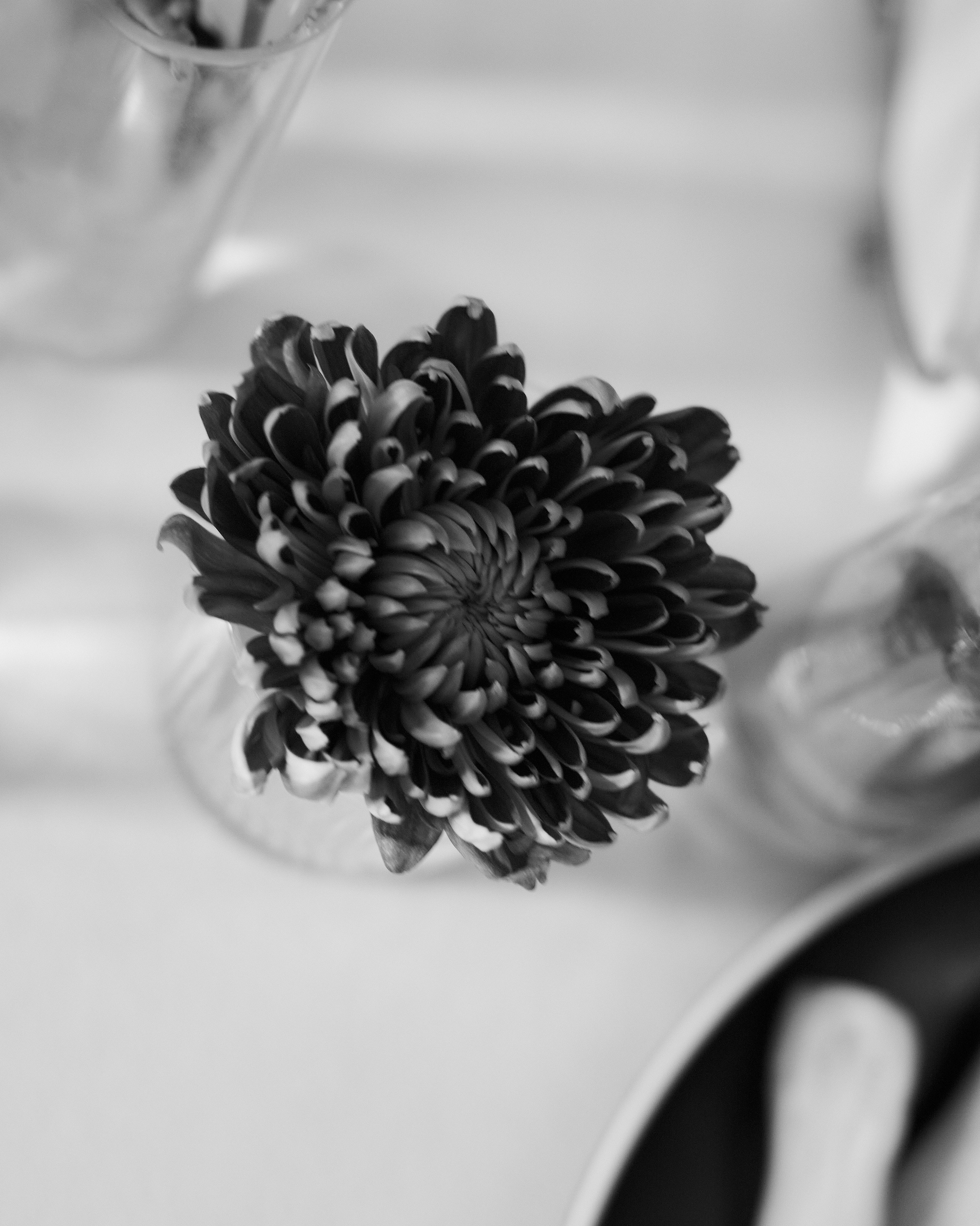 Weddings. Olya Filina | Moscow Photographer