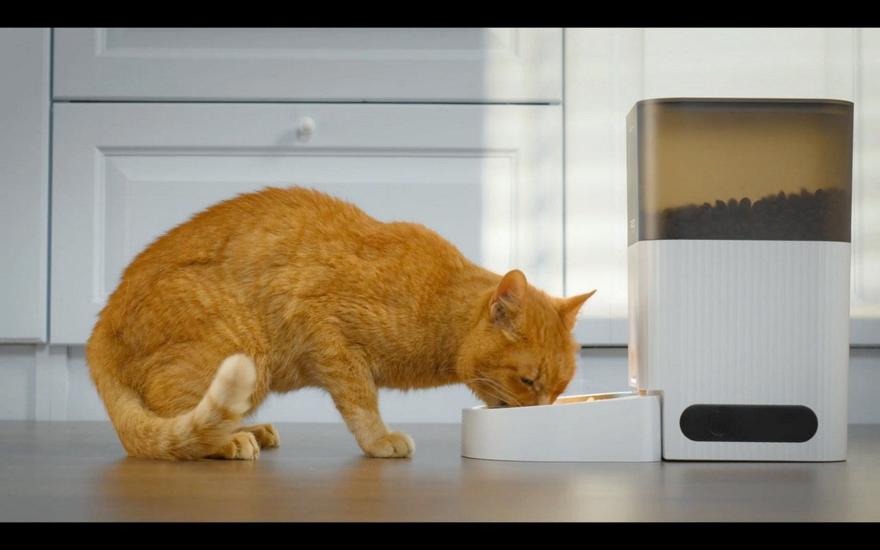 RED SOLUTION. Фото и видеосъёмка клипов и контента для компаний и личных брендов