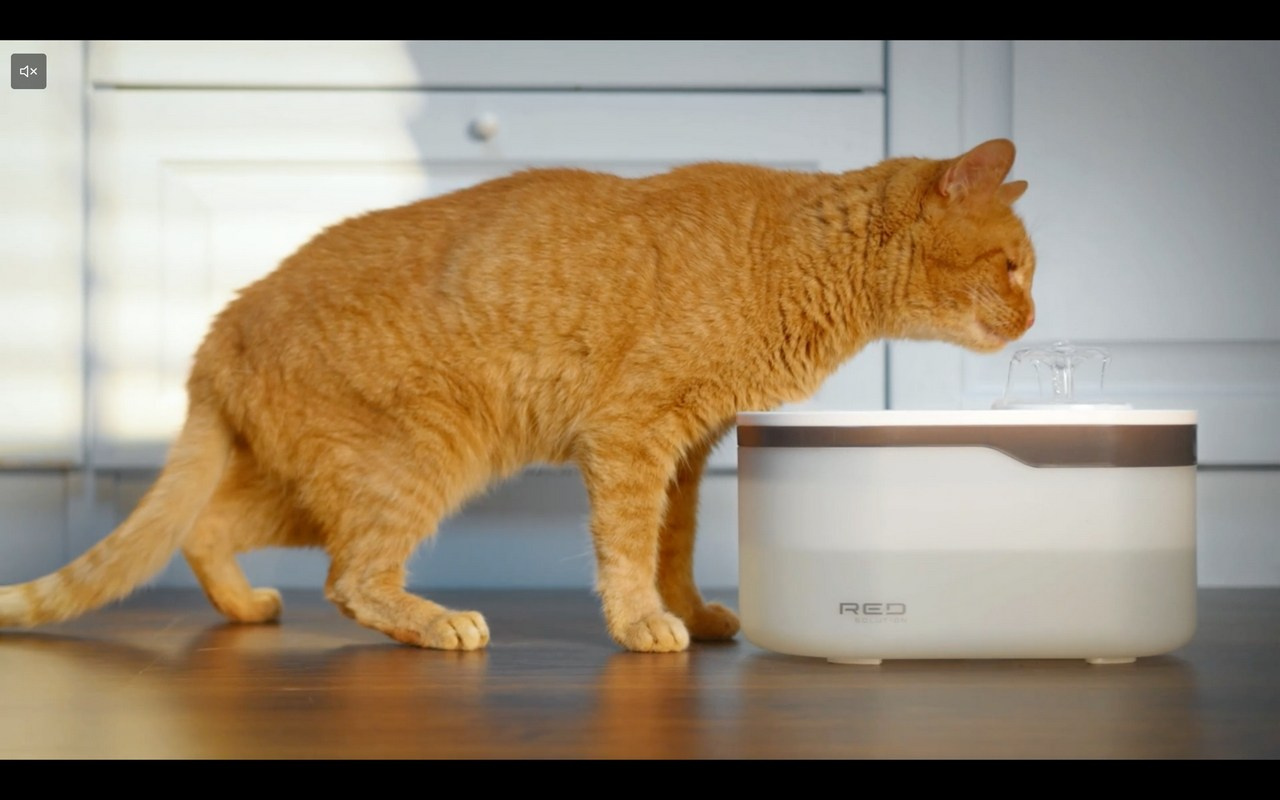 RED SOLUTION. Фото и видеосъёмка клипов и контента для компаний и личных брендов