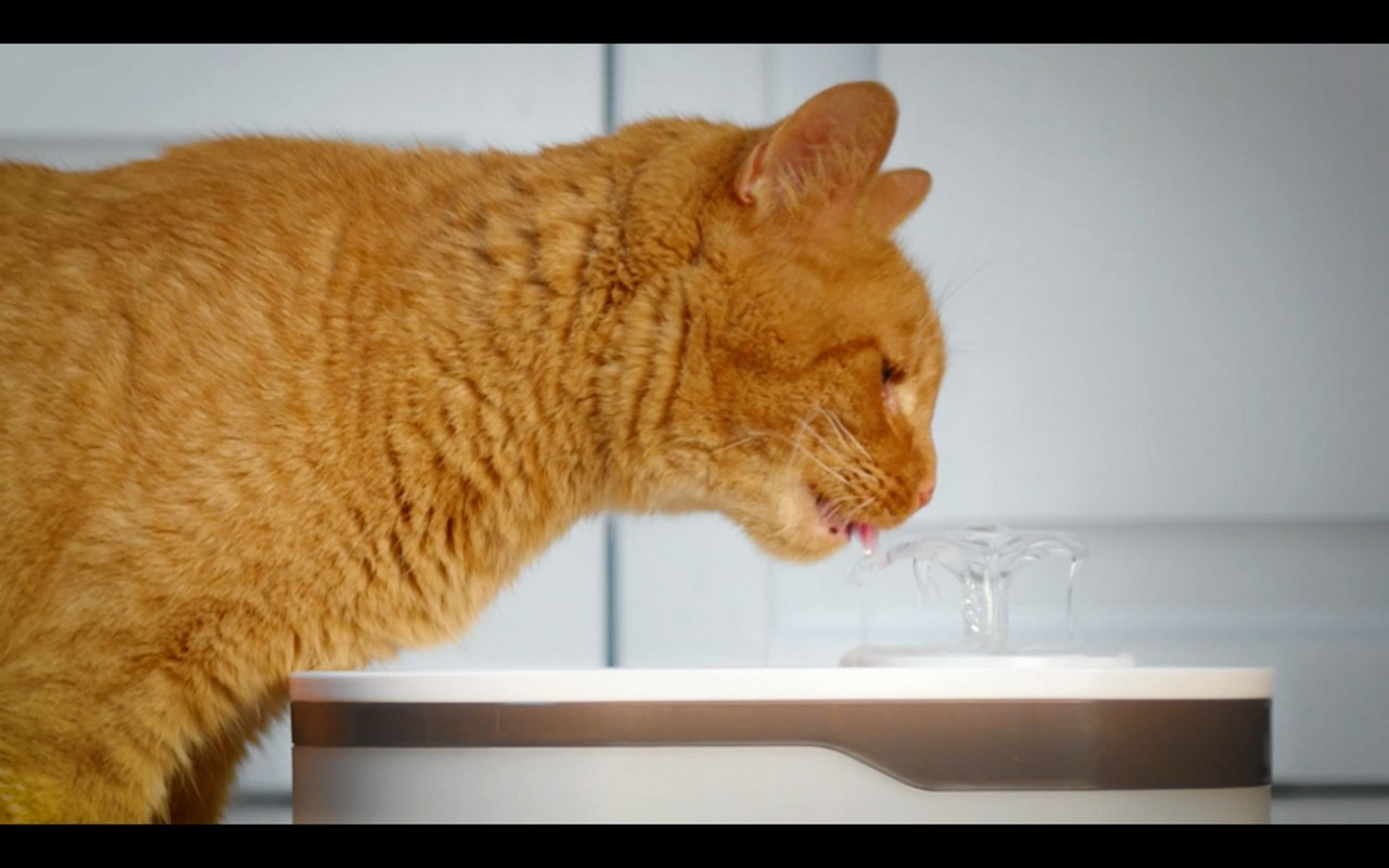 RED SOLUTION. Фото и видеосъёмка клипов и контента для компаний и личных брендов