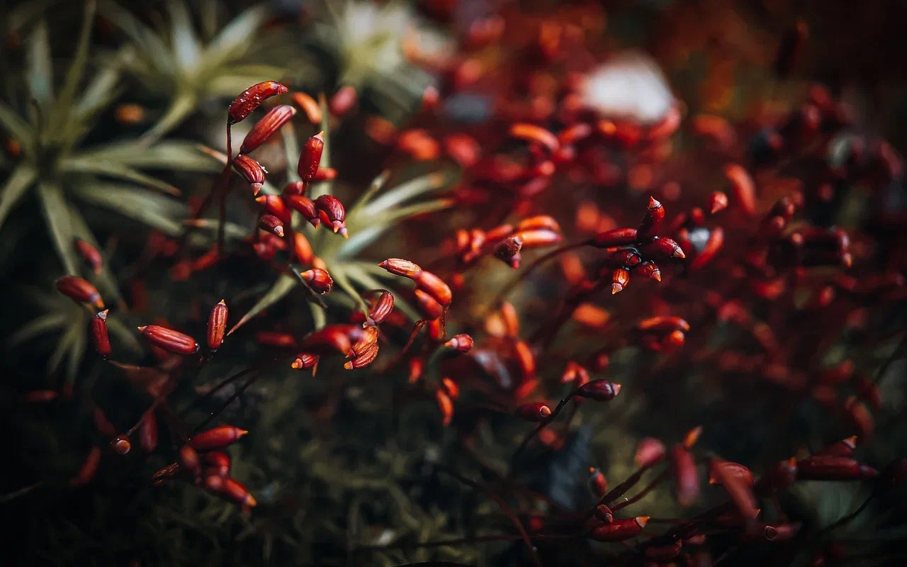 История о кадре. Саватейкин Ярослав | Портретный фотограф в Москве