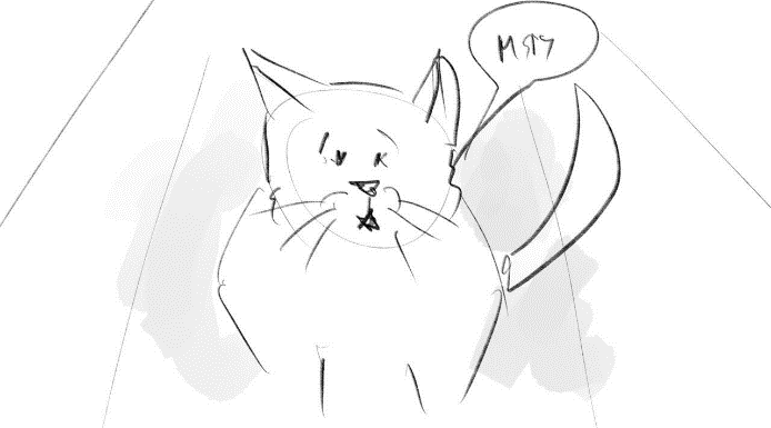 RED SOLUTION. Фото и видеосъёмка клипов и контента для компаний и личных брендов