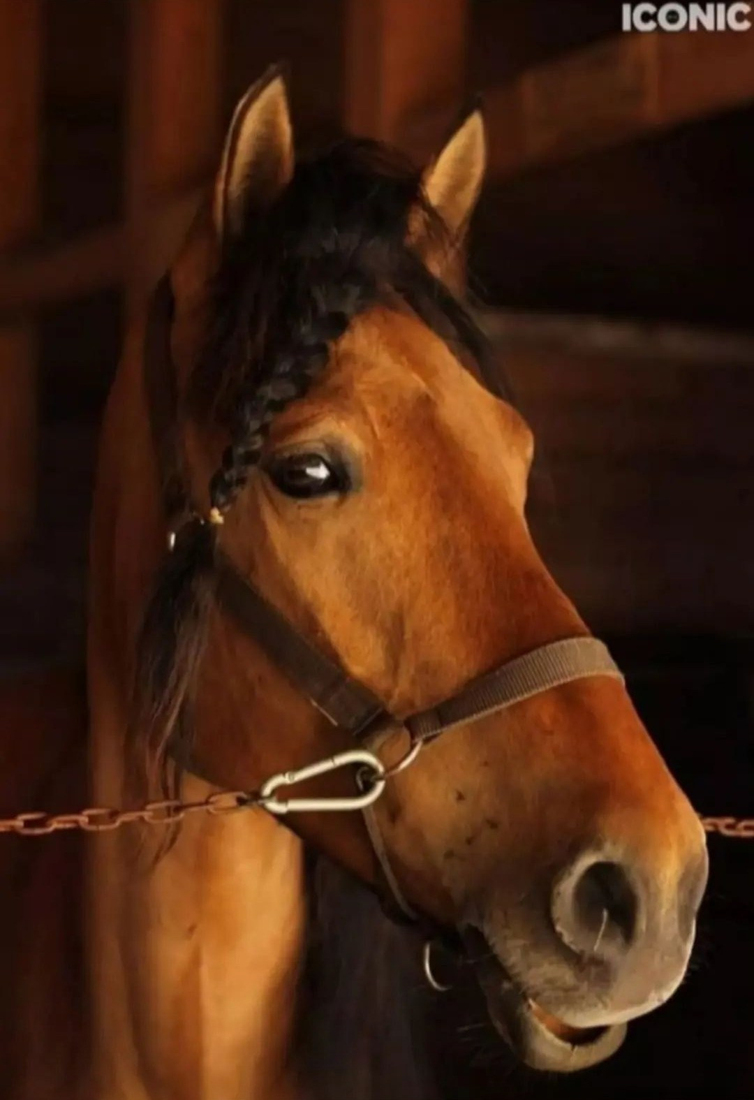 Семейный и детский фотограф в Москве Маклакова Алеся