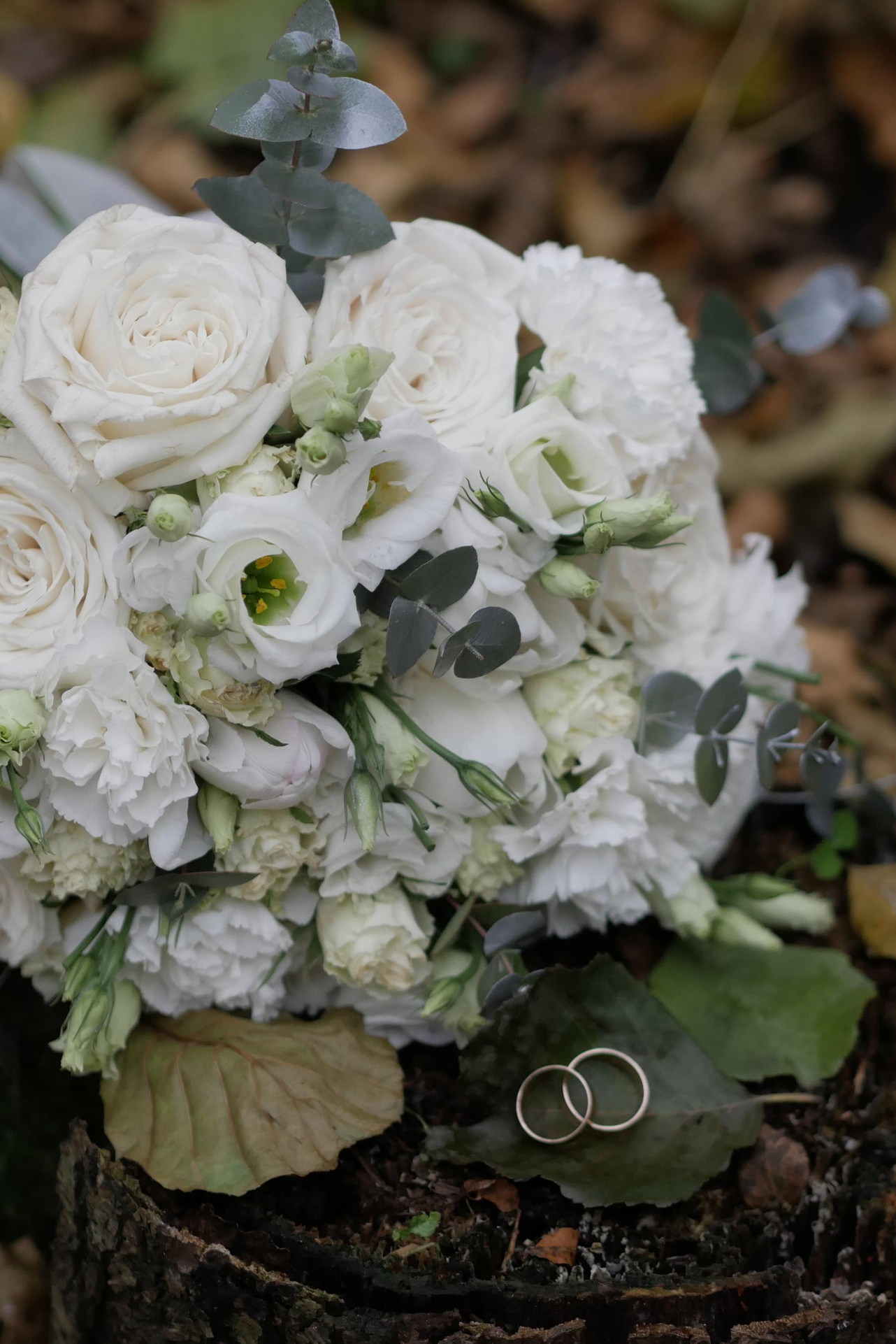 Price. Видеосъемка, аэросъемка Гомель Дмитрий и Наталья Нечаевы